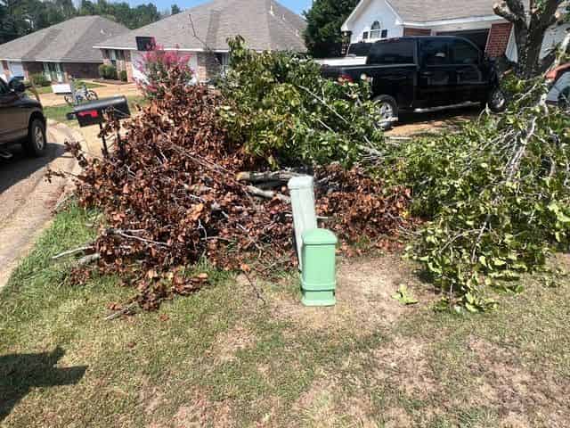 Yard Debris Clean Up image