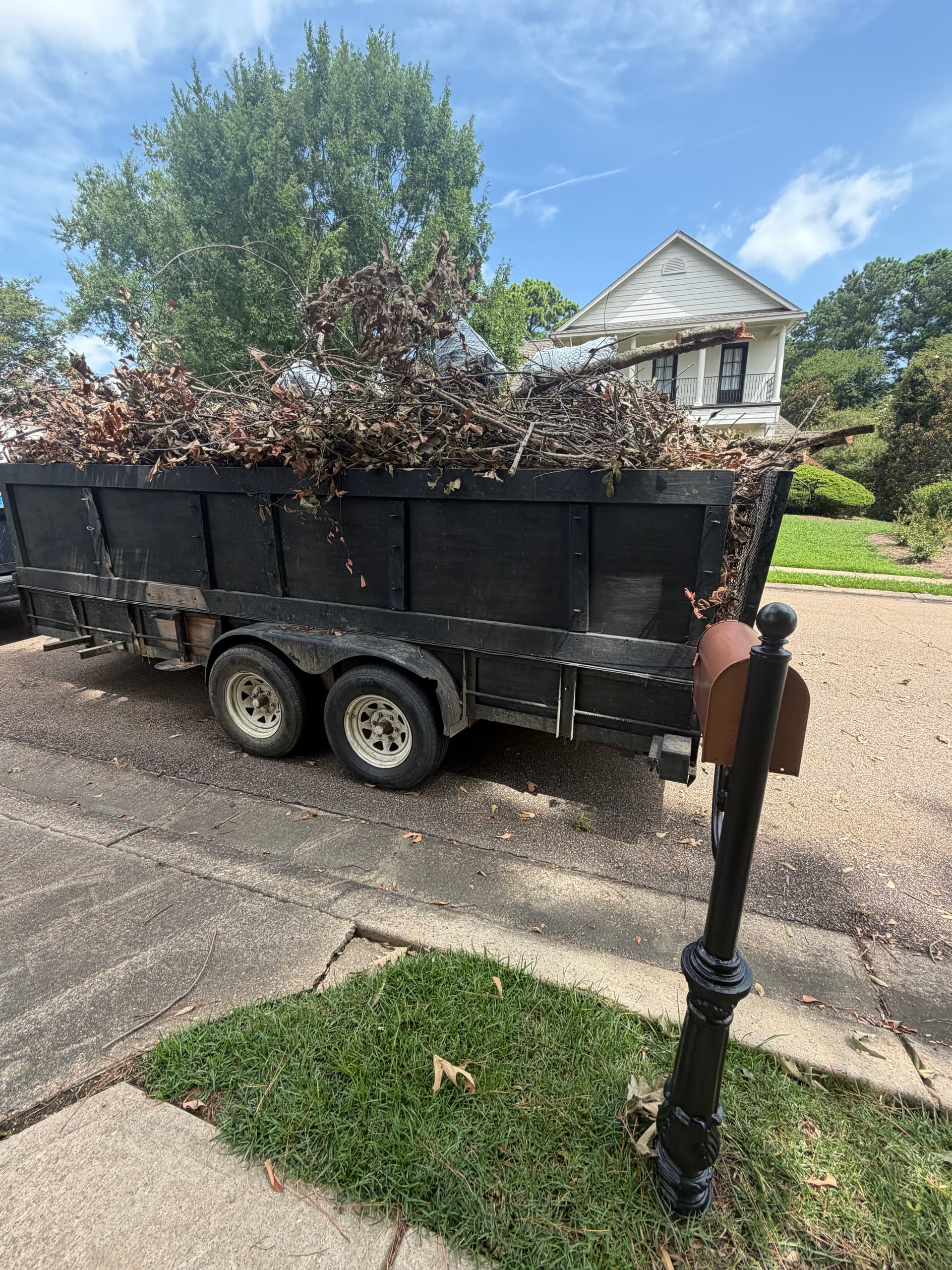 Gallery photos for Brush Pile Haul-Off Clears Madison Curb and Sidewalk Fast: Image #5