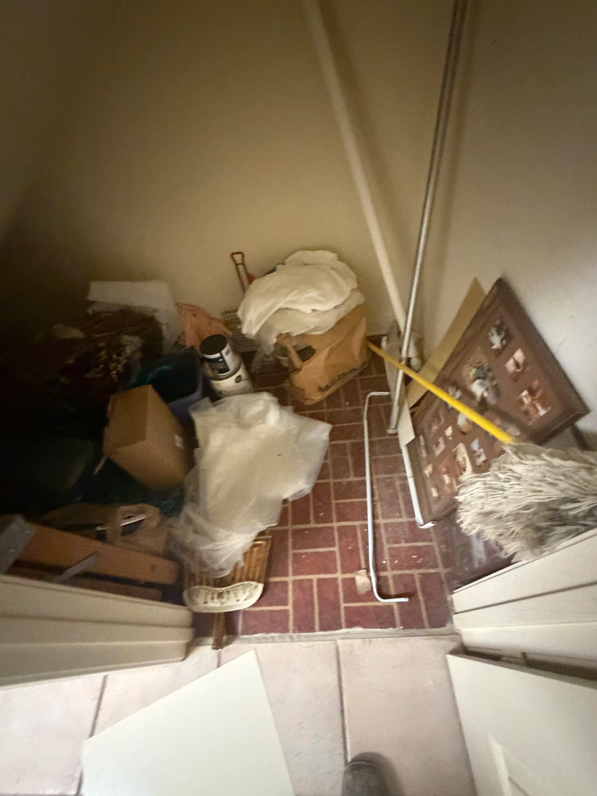 Closet and Storage Area Cleanout in Madison MS image
