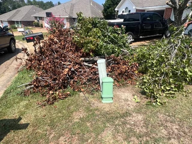 Yard Debris Clean Up Services | Advanced Junk Removal