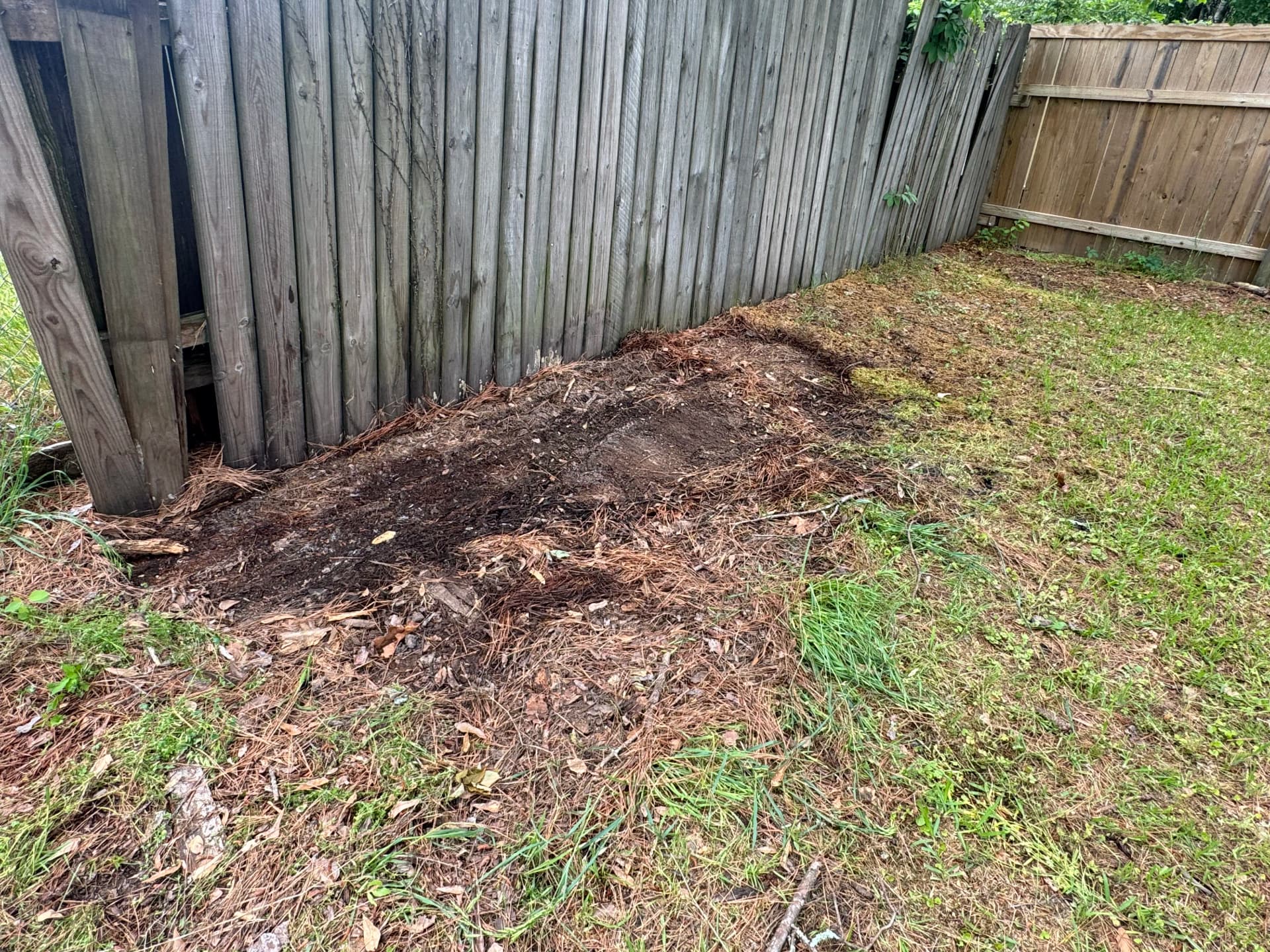 Gallery photos for Wood Debris Removal Clears a Jackson MS Backyard: Image #2