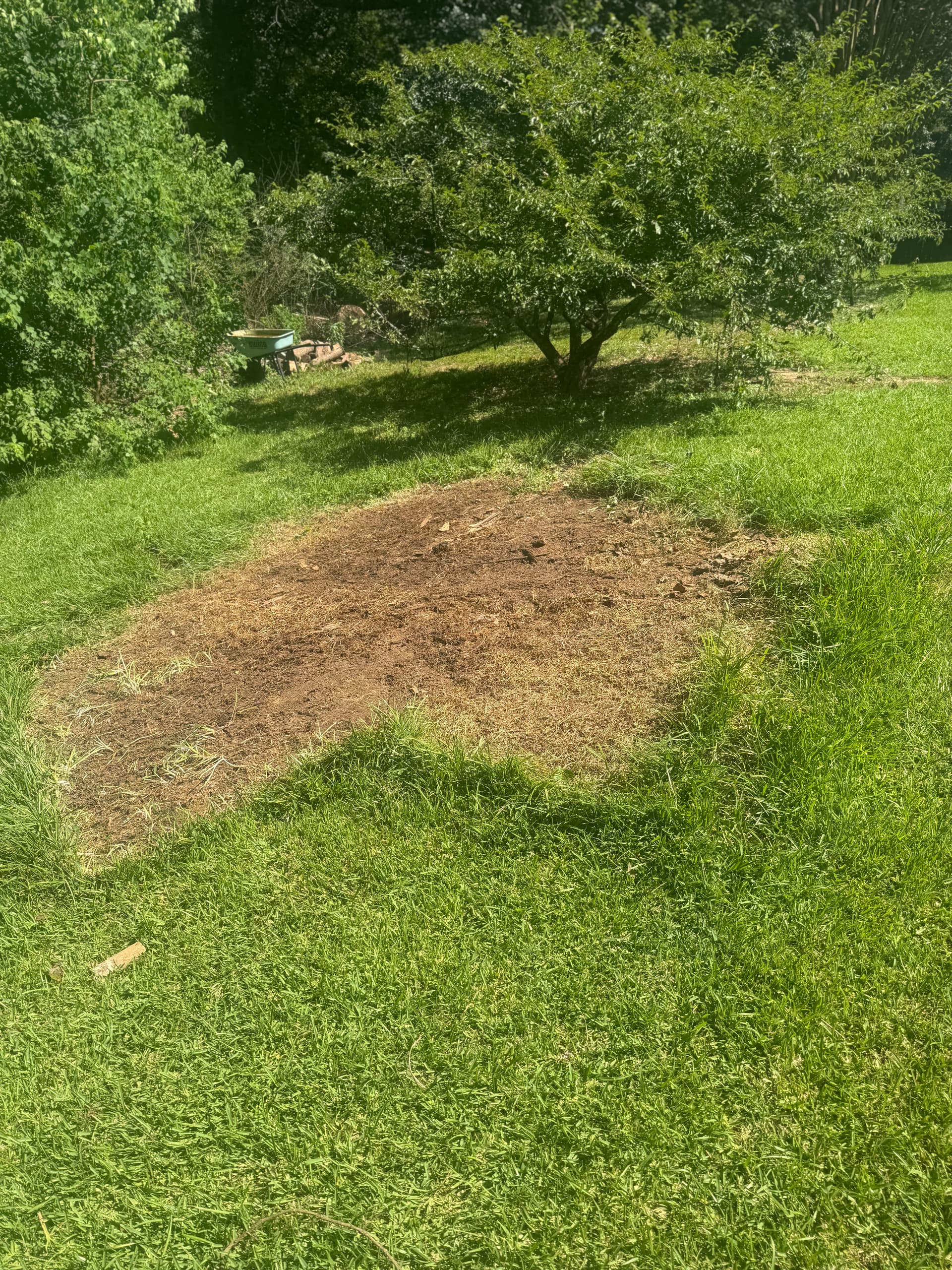Gallery photos for Old Fencing Materials Hauled Out in Brandon MS: Image #2