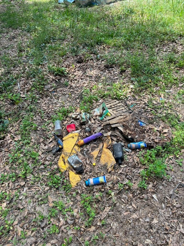 Gallery photos for Illegal Dumping Cleanup in Jackson MS Woods: Image #4