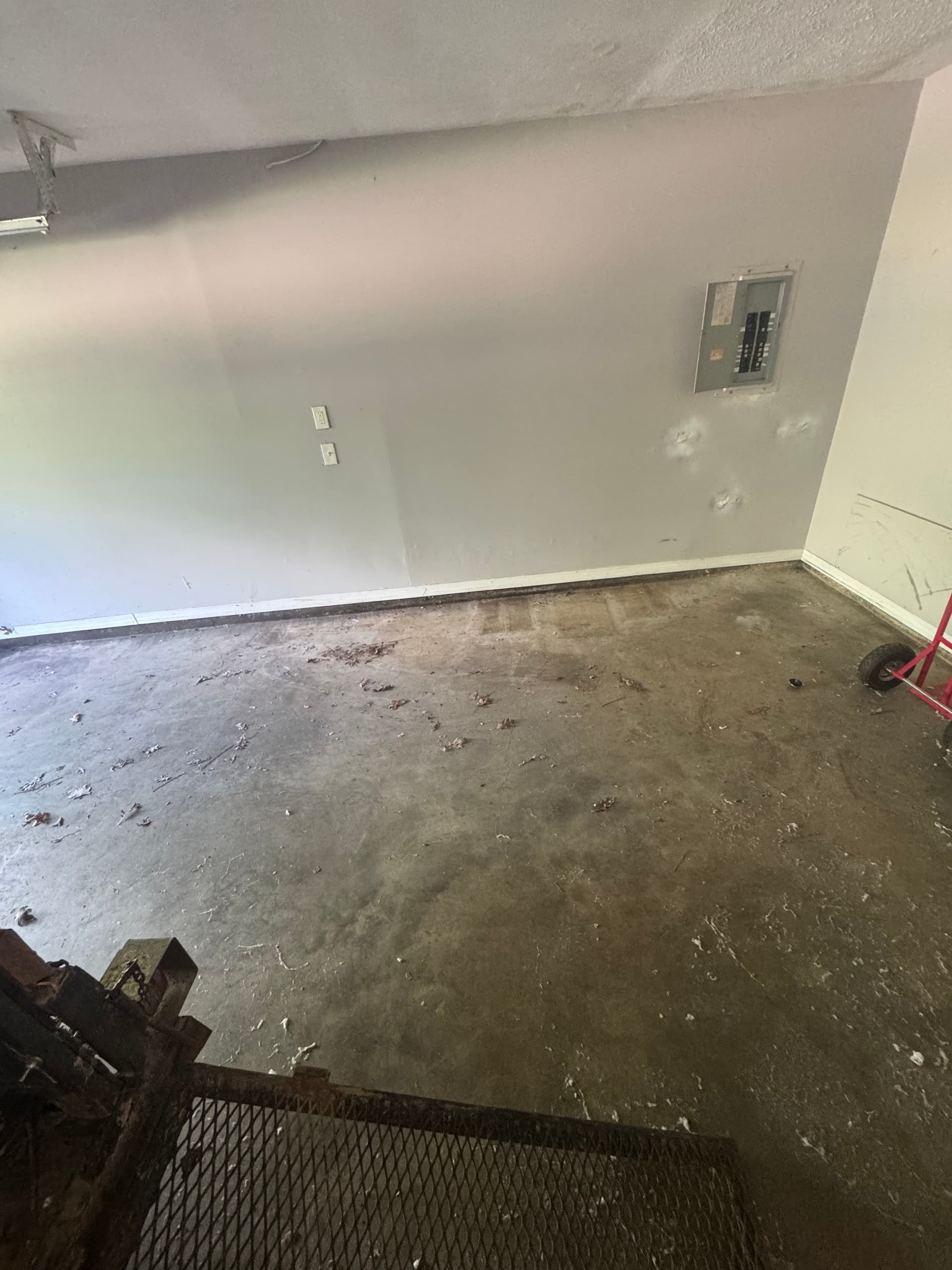 Gallery photos for Full Property Cleanout Tackles Cardboard and Bulk Debris Overload: Image #5