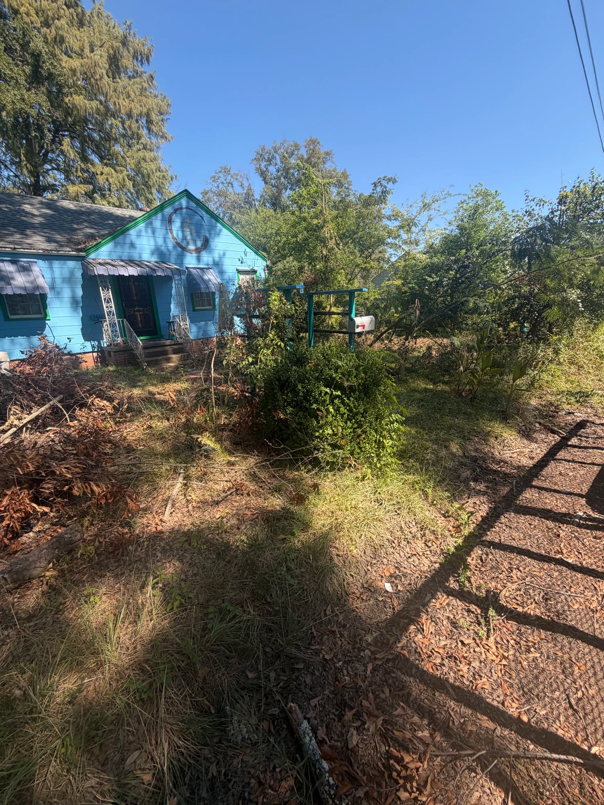 Gallery photos for Yard Debris Removal Clears Out a Jackson MS Residential Property: Image #1