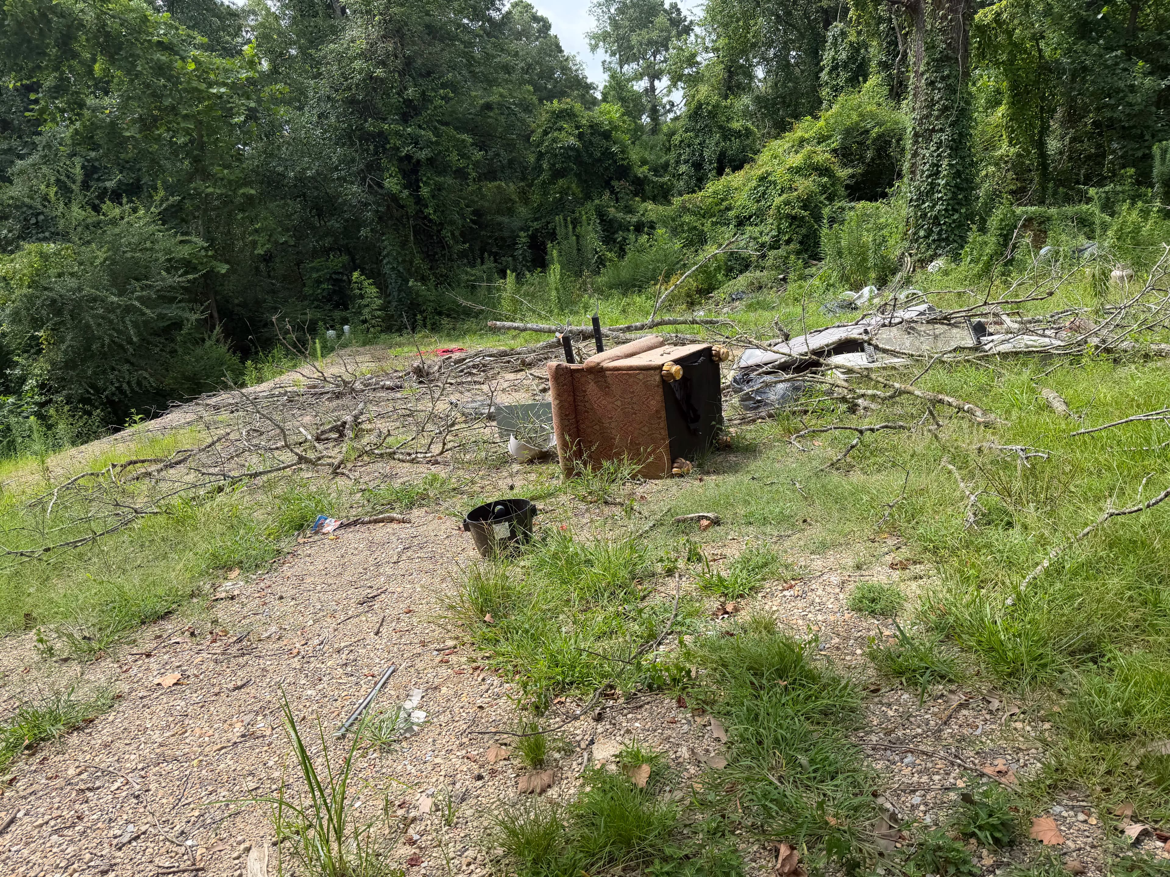 Project Major Yard Debris and Bulk Trash Cleanup in Jackson MS image