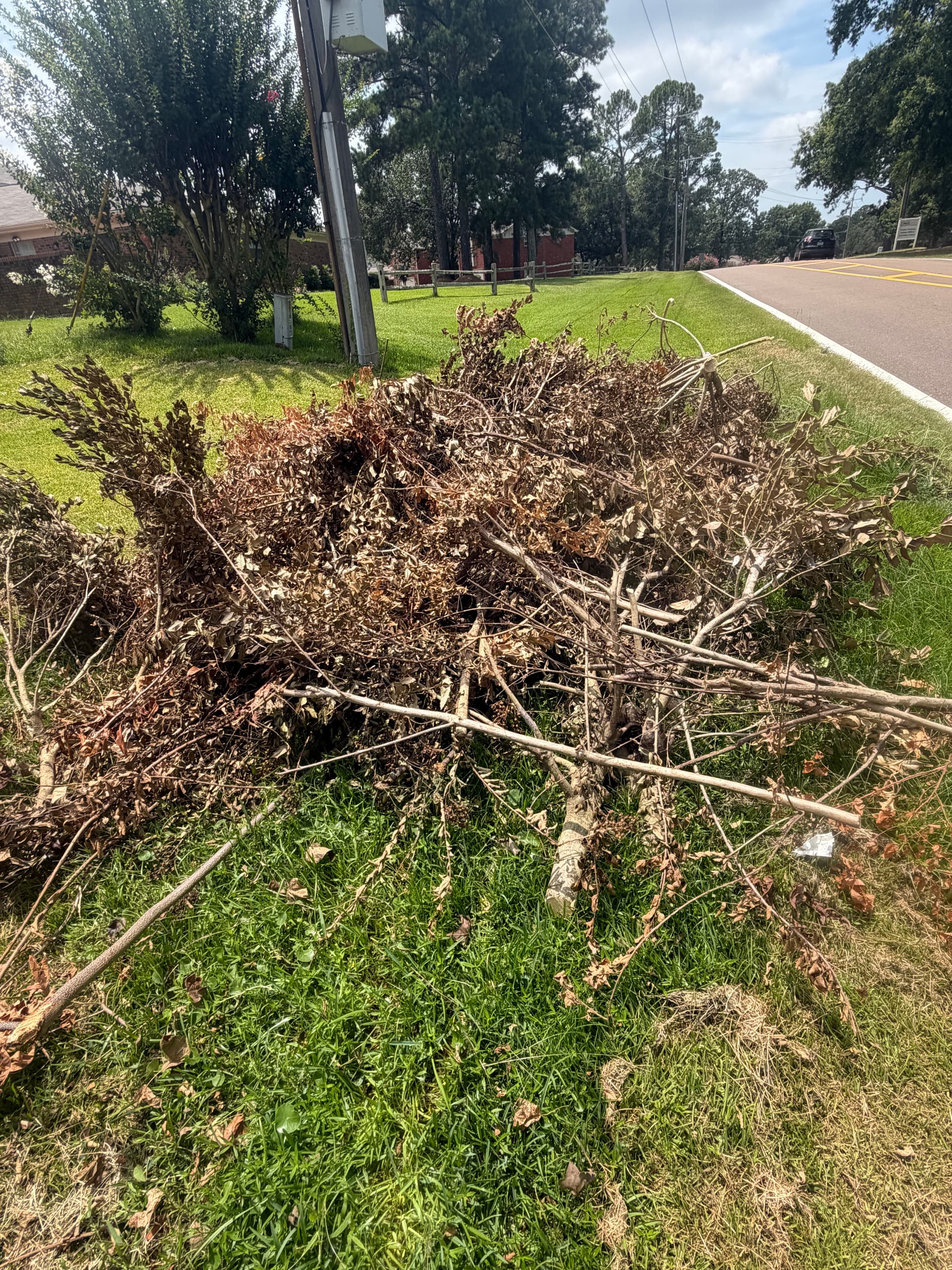 Gallery photos for Same-Day Full Cleanout in Brandon MS: Image #2