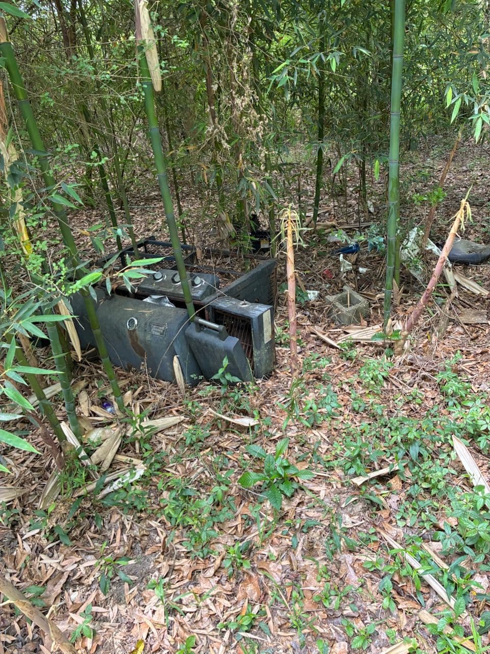 Gallery photos for Illegal Dumping Cleanup in Jackson MS Woods: Image #2