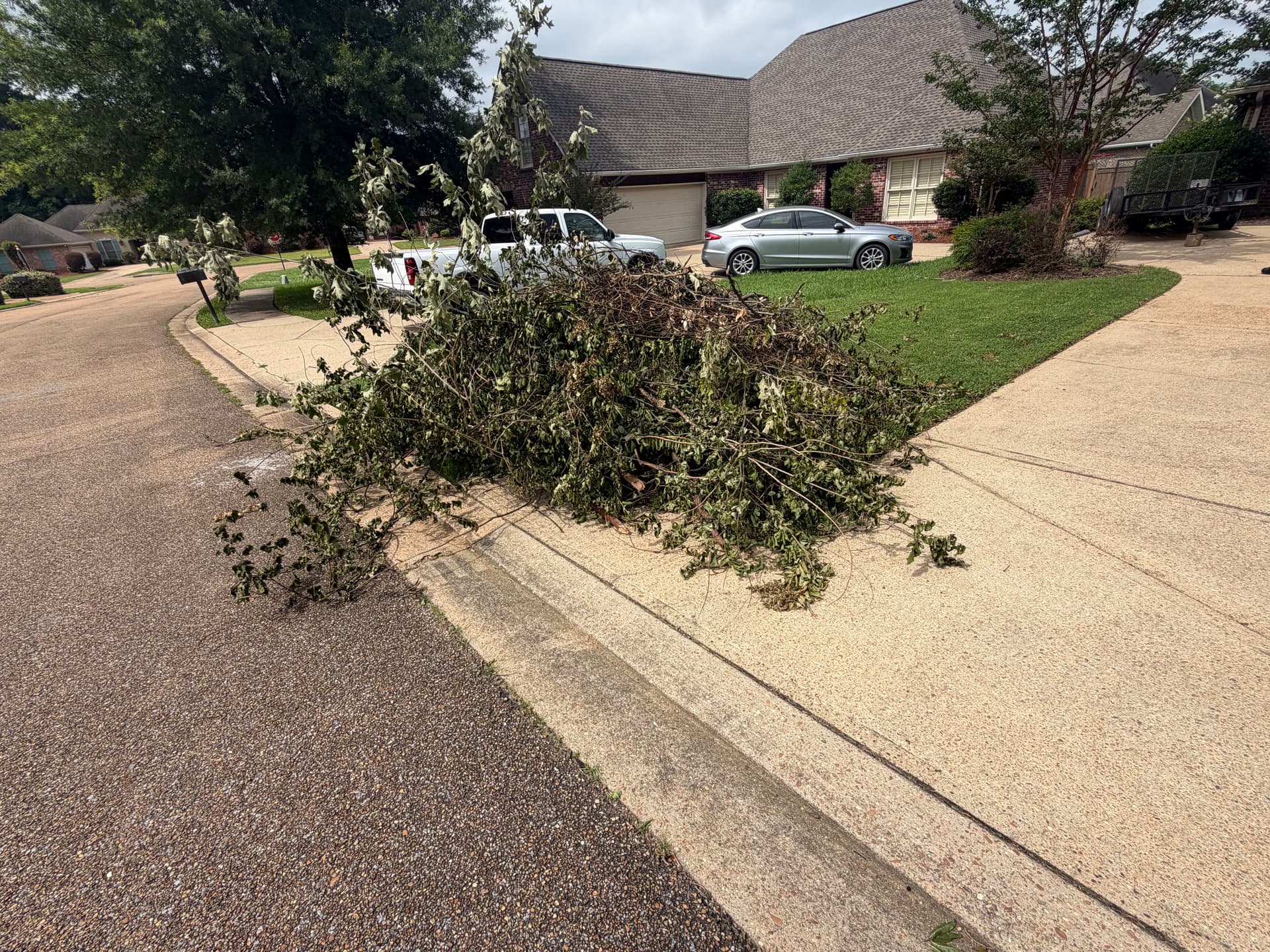 Large Limb and Brush Removal Completed in Brandon MS image