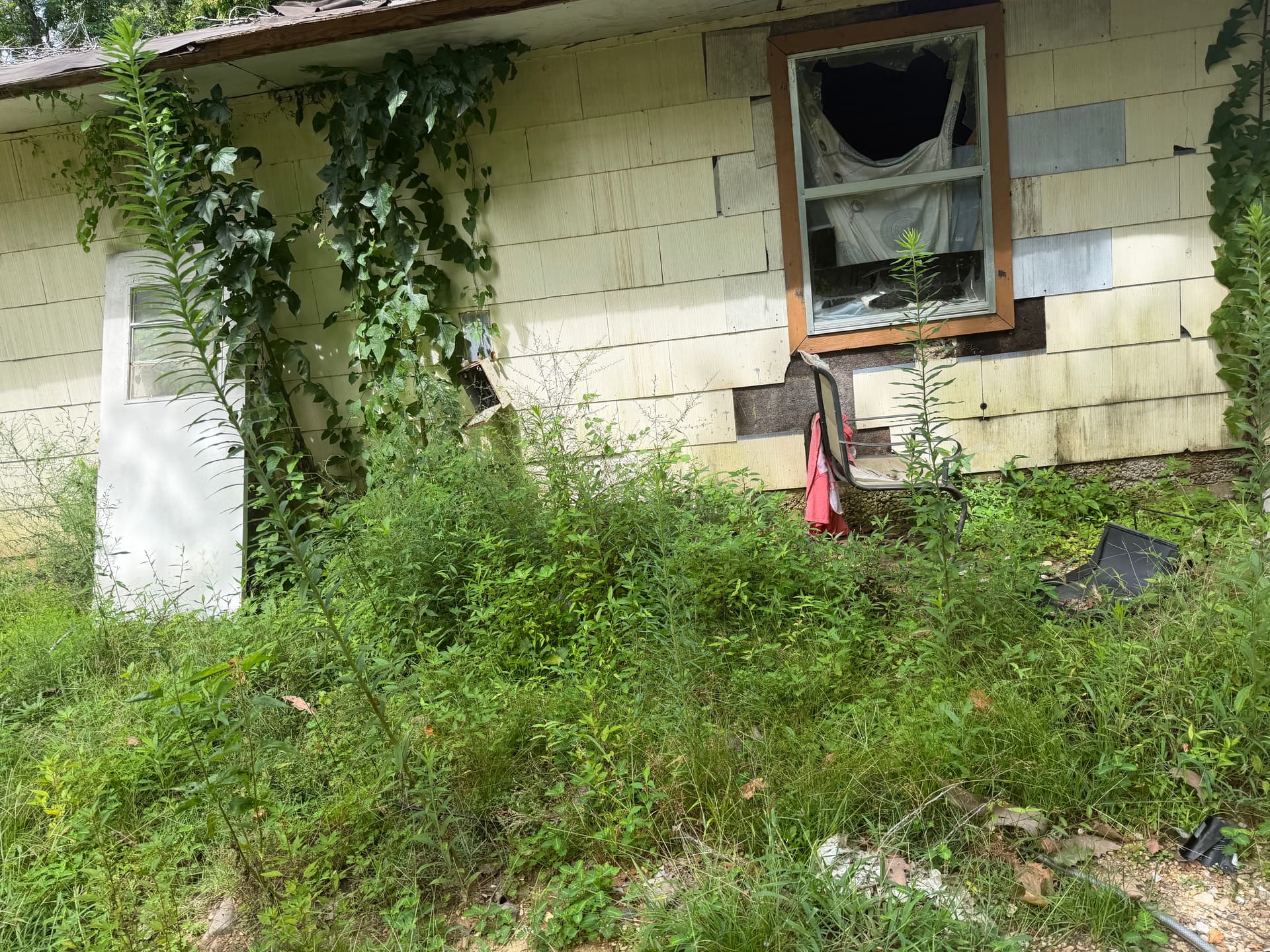 Gallery photos for Major Yard Debris and Bulk Trash Cleanup in Jackson MS: Image #1