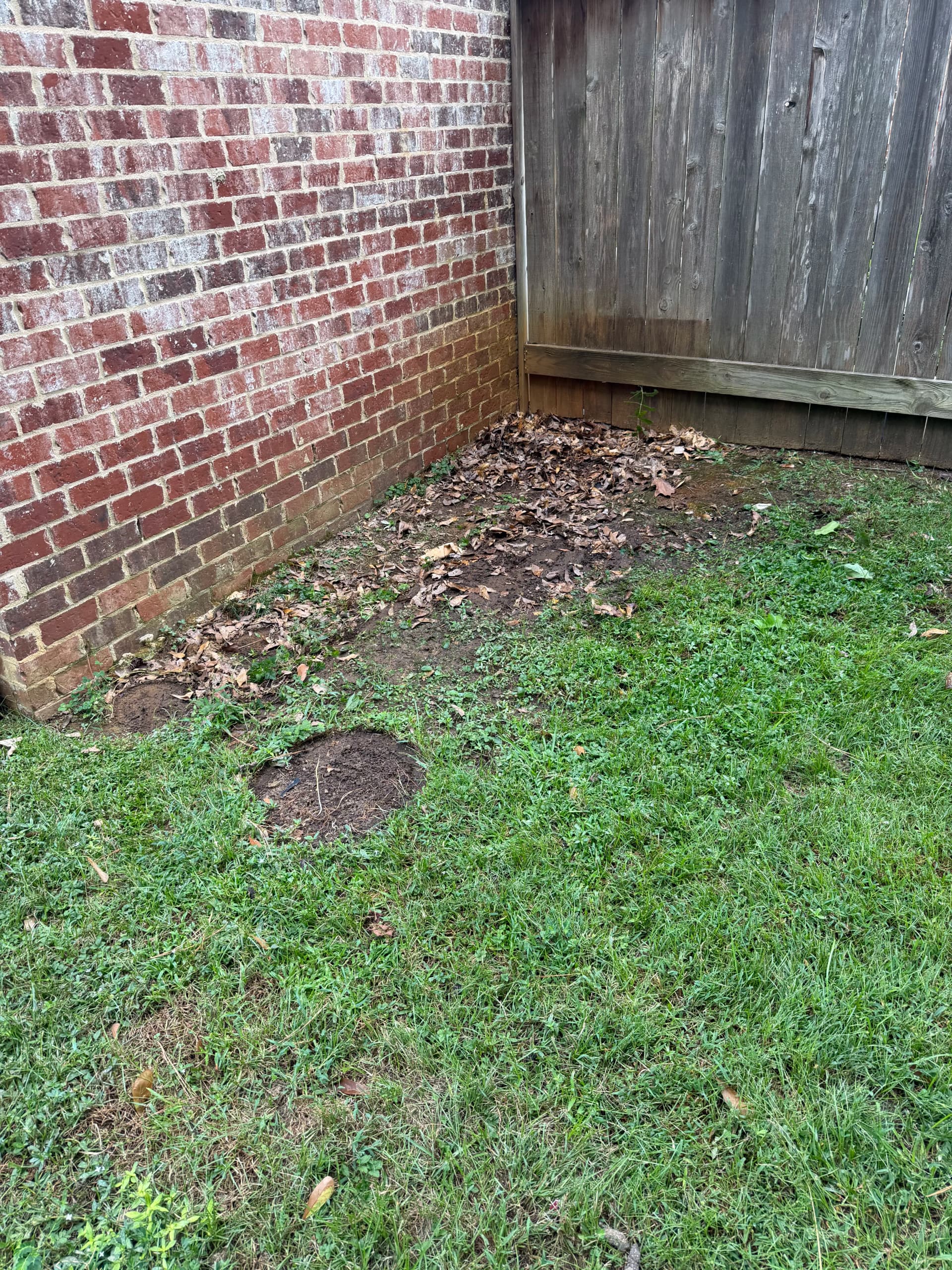 Gallery photos for Backyard Junk Removal Clears Out a Madison Patio and Yard: Image #2