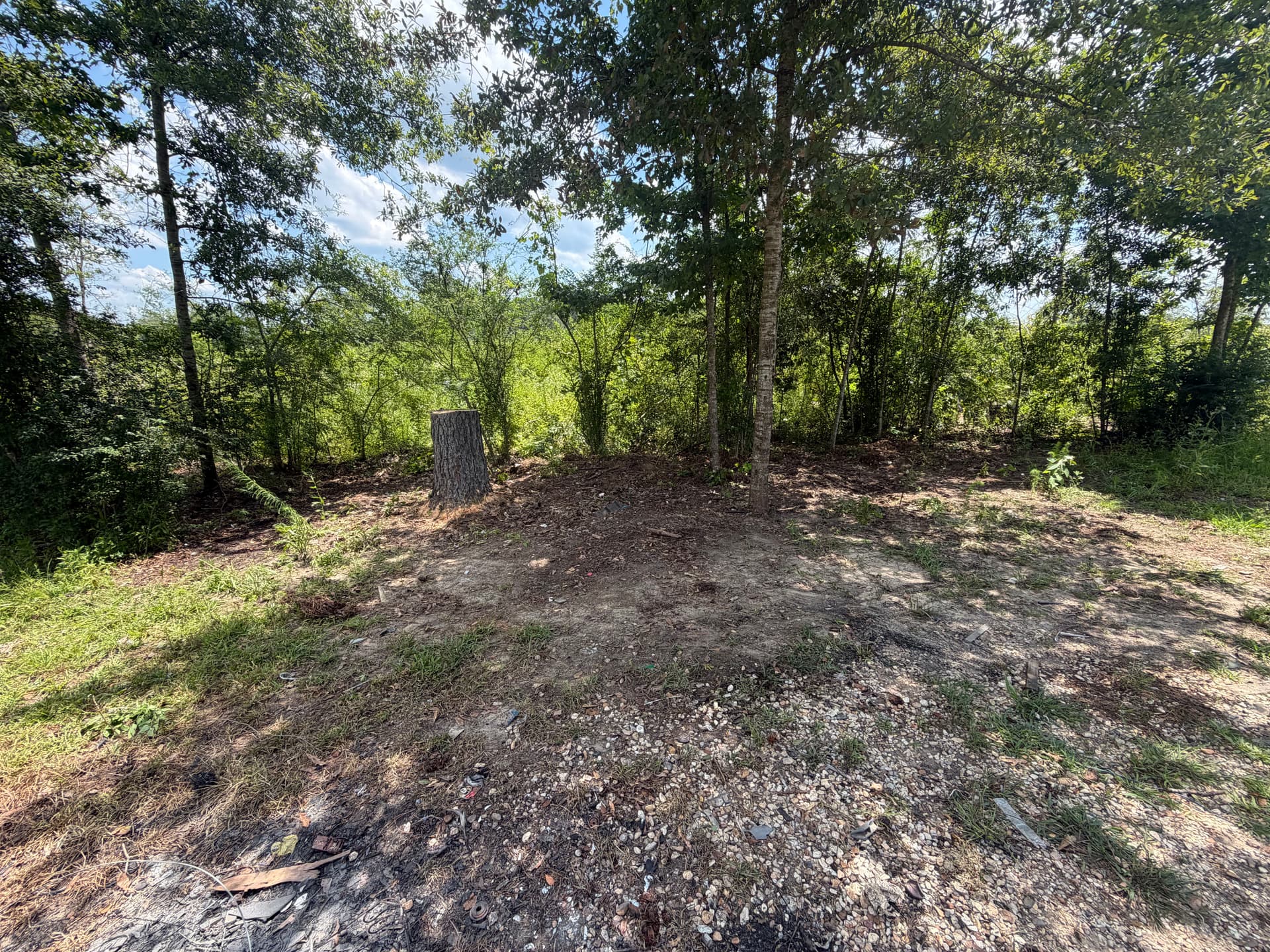 Gallery photos for Scattered Junk and Debris Gone - Bare Ground Reclaimed: Image #4