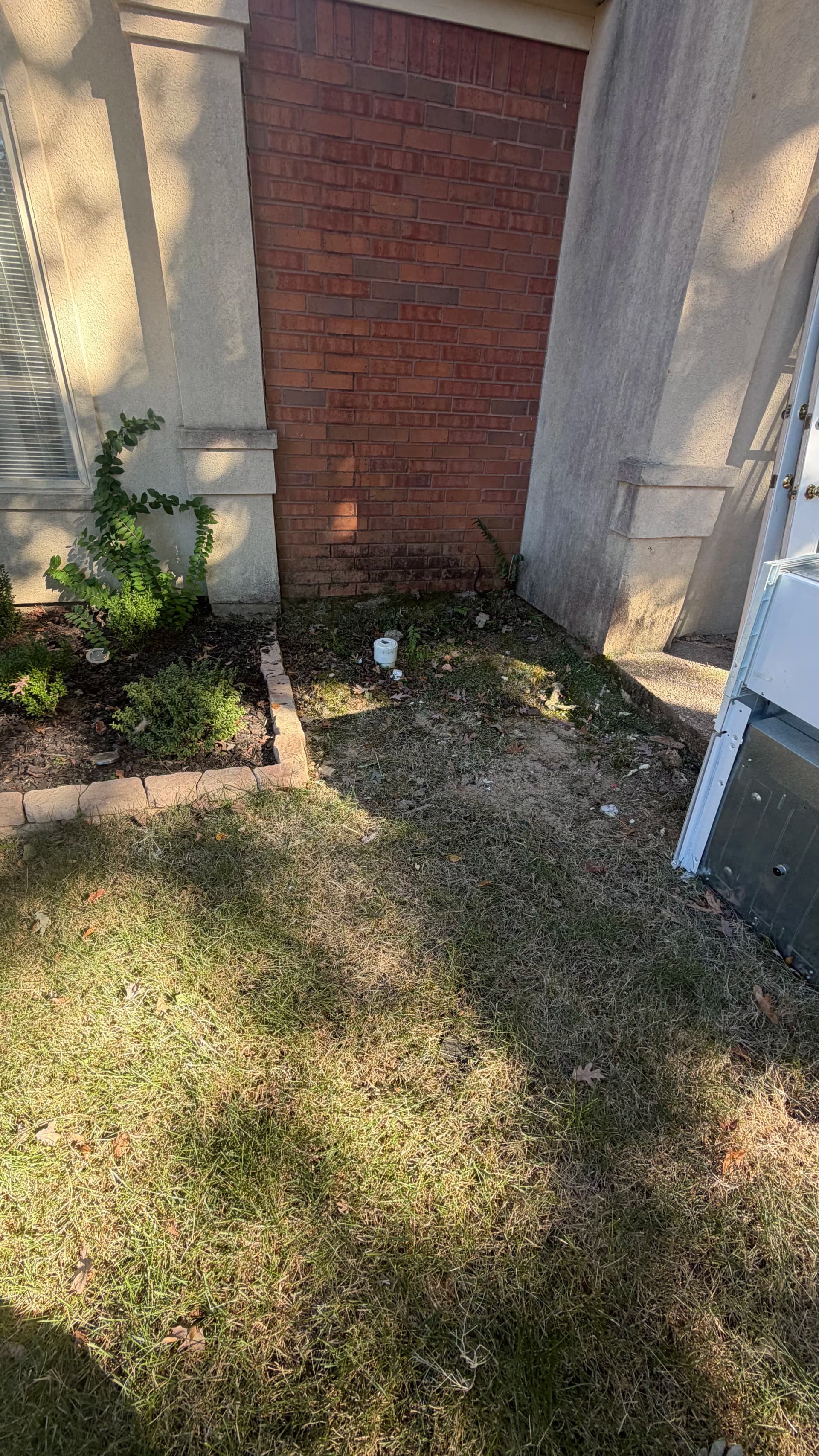 Gallery photos for Outdoor Junk Removal Clears Side of Home in Ridgeland MS: Image #2