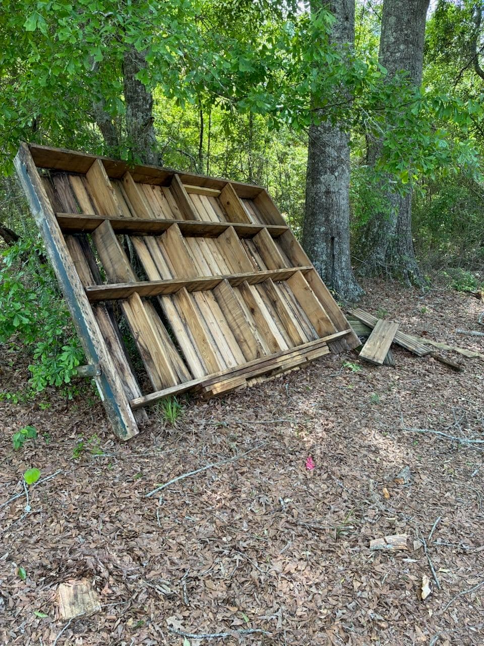 Gallery photos for Illegal Dumping Cleanup in Jackson MS Woods: Image #1