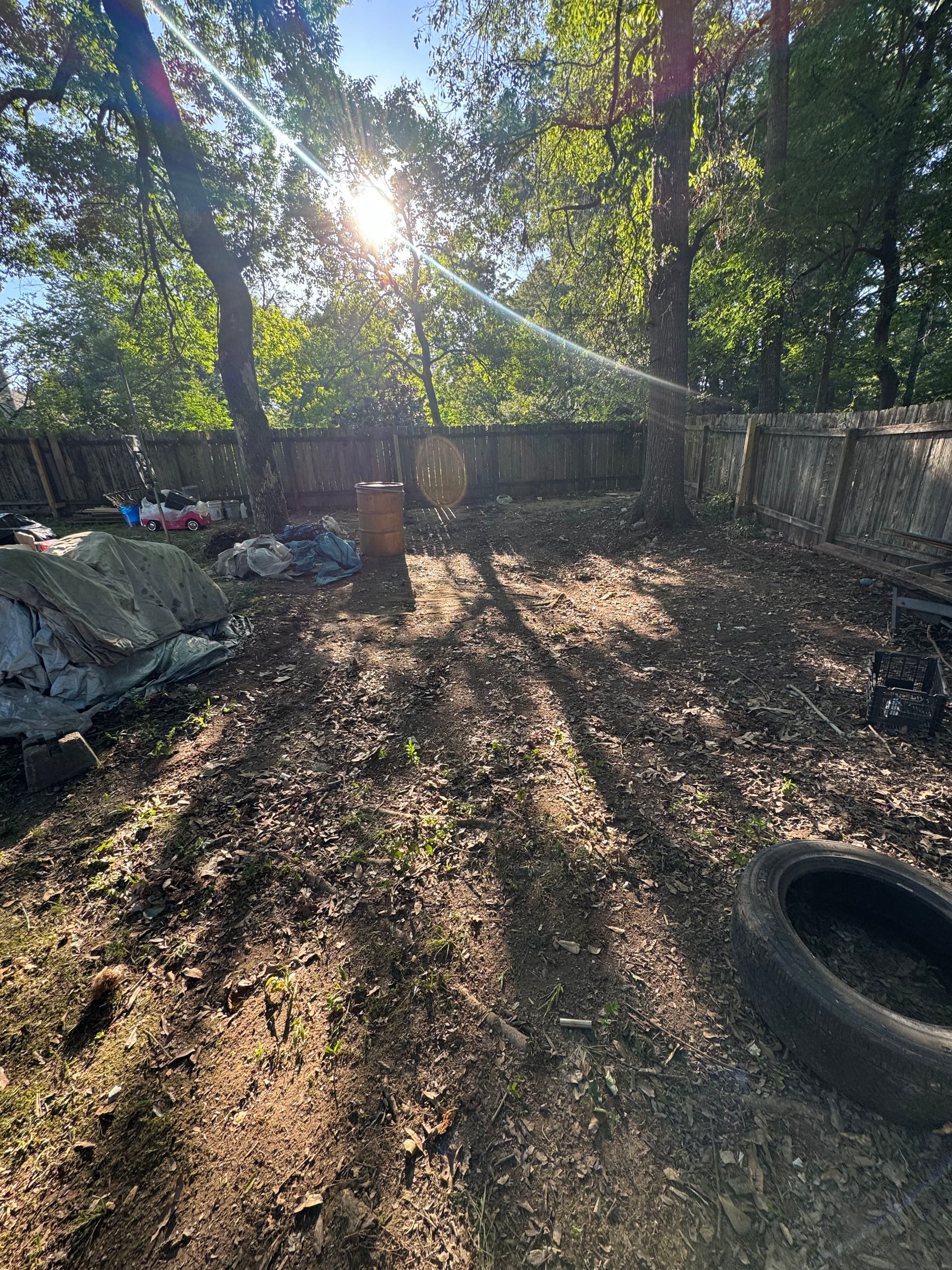 Gallery photos for Shed Demolition and Full Backyard Cleanup in Flowood MS: Image #3