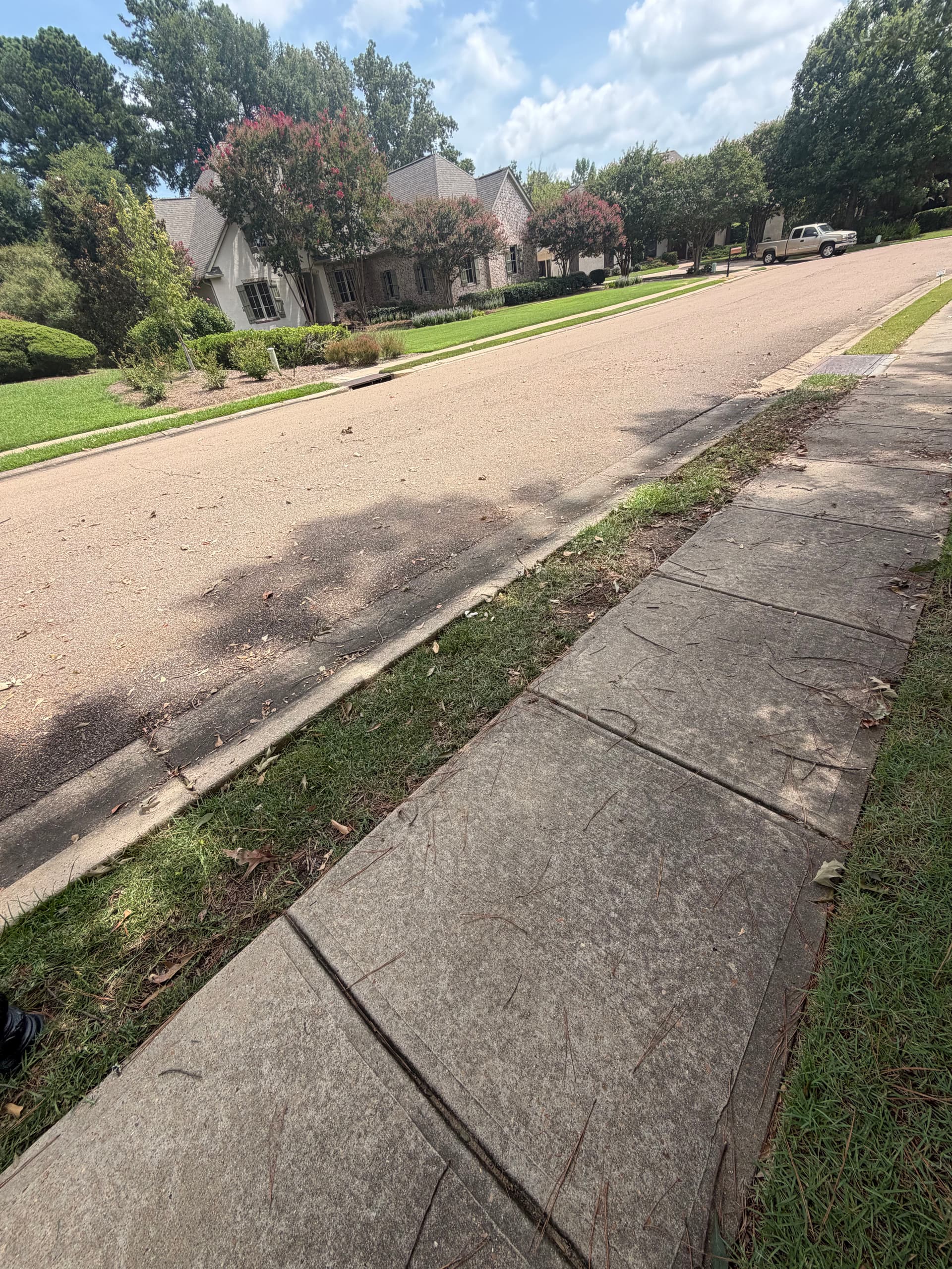 Gallery photos for Brush Pile Haul-Off Clears Madison Curb and Sidewalk Fast: Image #3