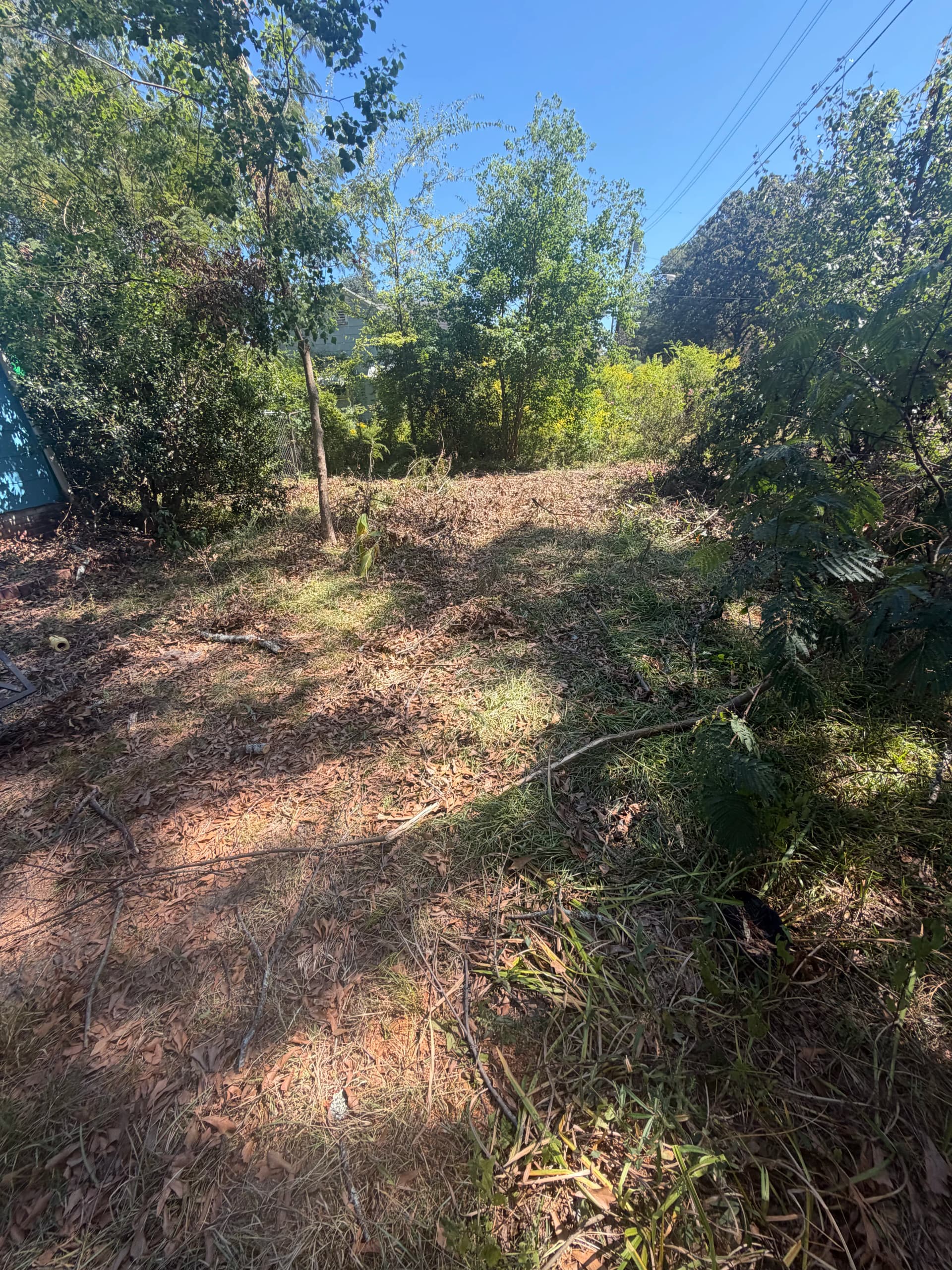 Gallery photos for Yard Debris Removal Clears Out a Jackson MS Residential Property: Image #2