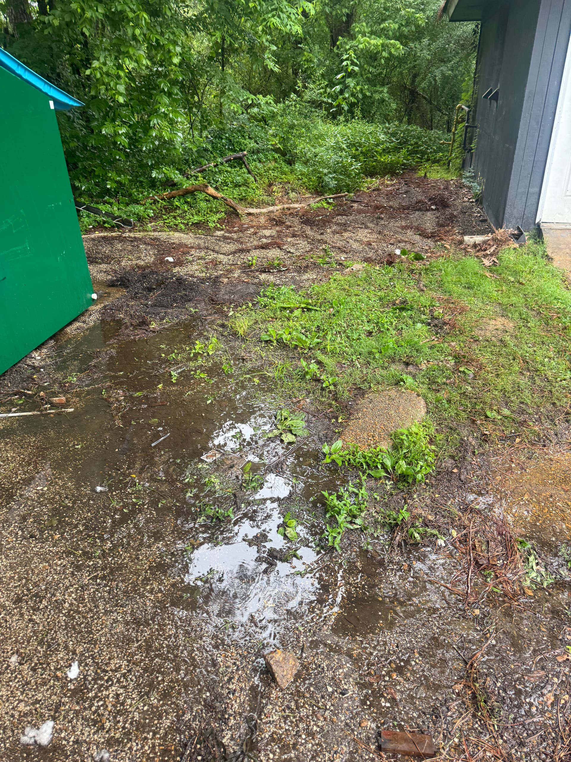 Gallery photos for Full Exterior Property Cleanout With Bulky Furniture and Debris Removal: Image #3