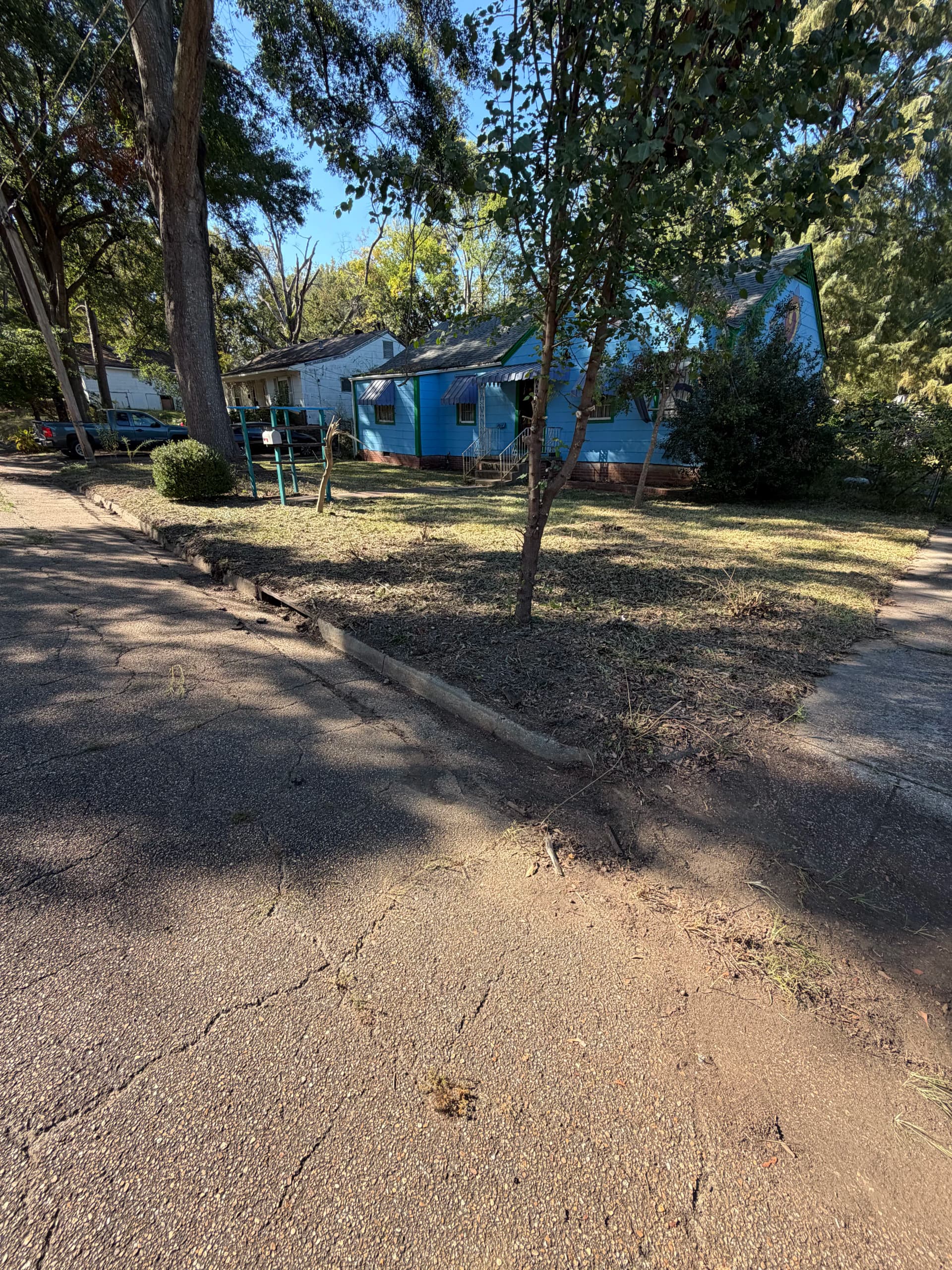 Gallery photos for Yard Debris Removal Clears Out a Jackson MS Residential Property: Image #5