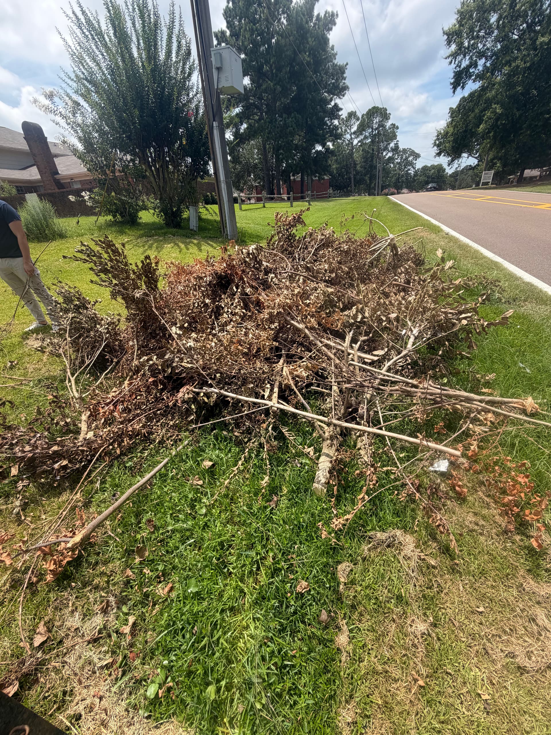 Gallery photos for Same-Day Full Cleanout in Brandon MS: Image #3