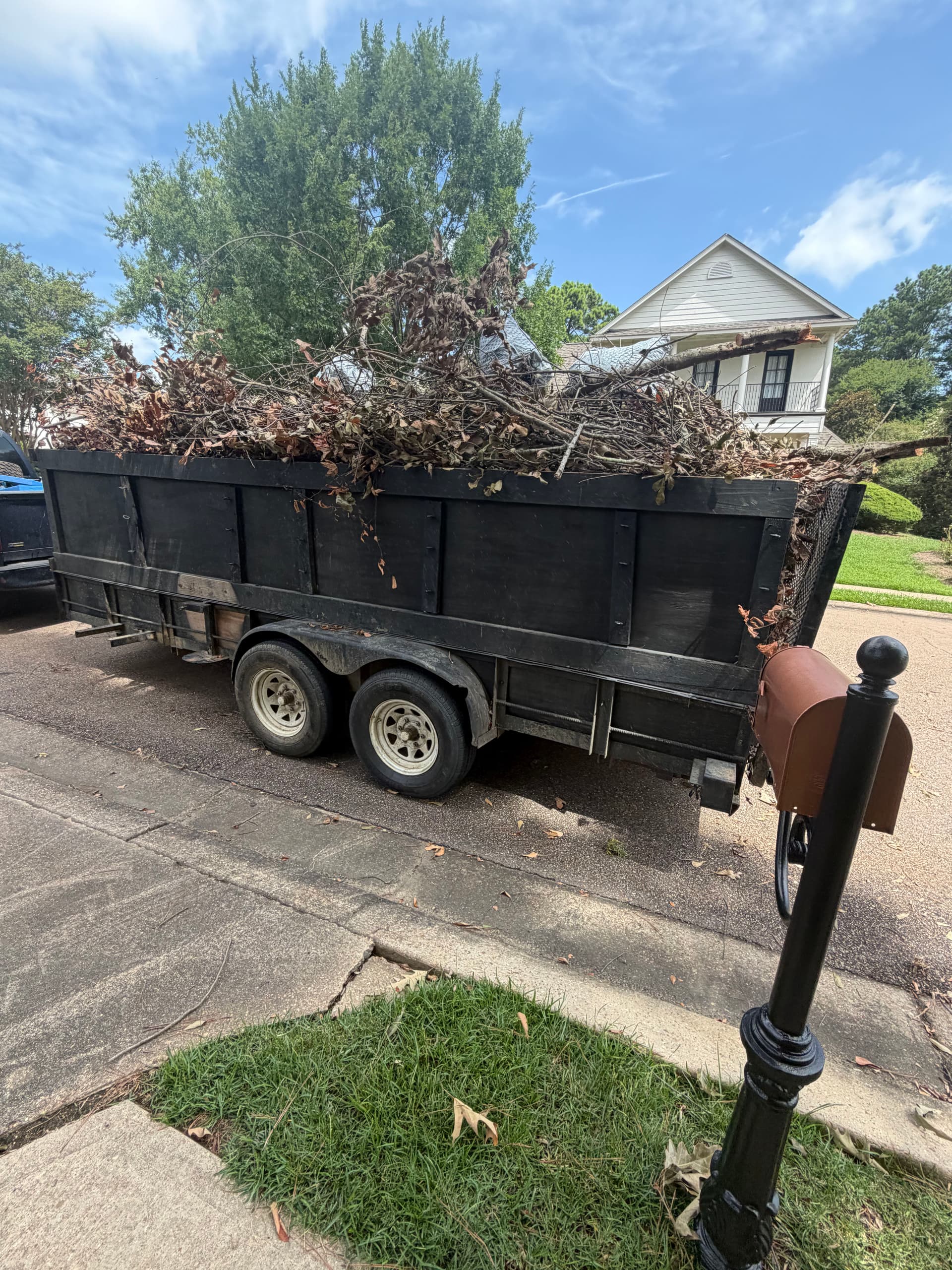 Gallery photos for Brush Pile Haul-Off Clears Madison Curb and Sidewalk Fast: Image #6