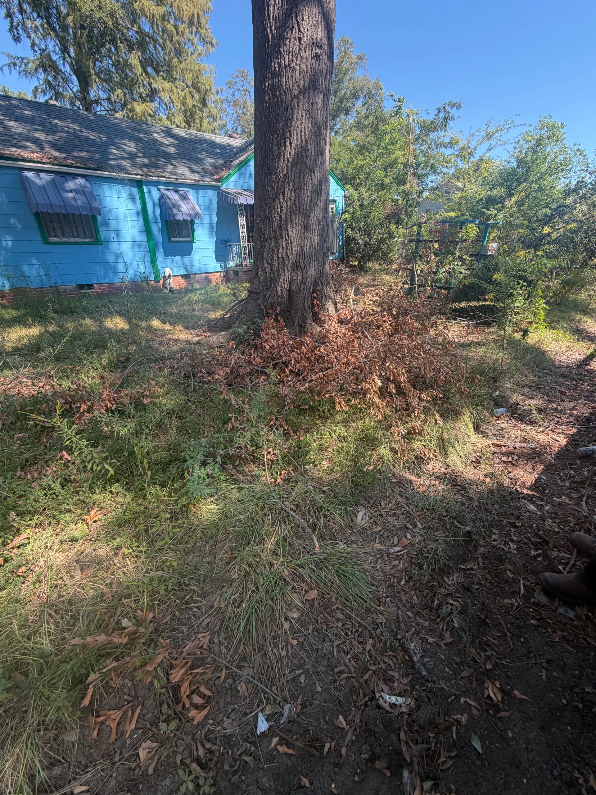 Yard Debris Removal Clears Out a Jackson MS Residential Property image