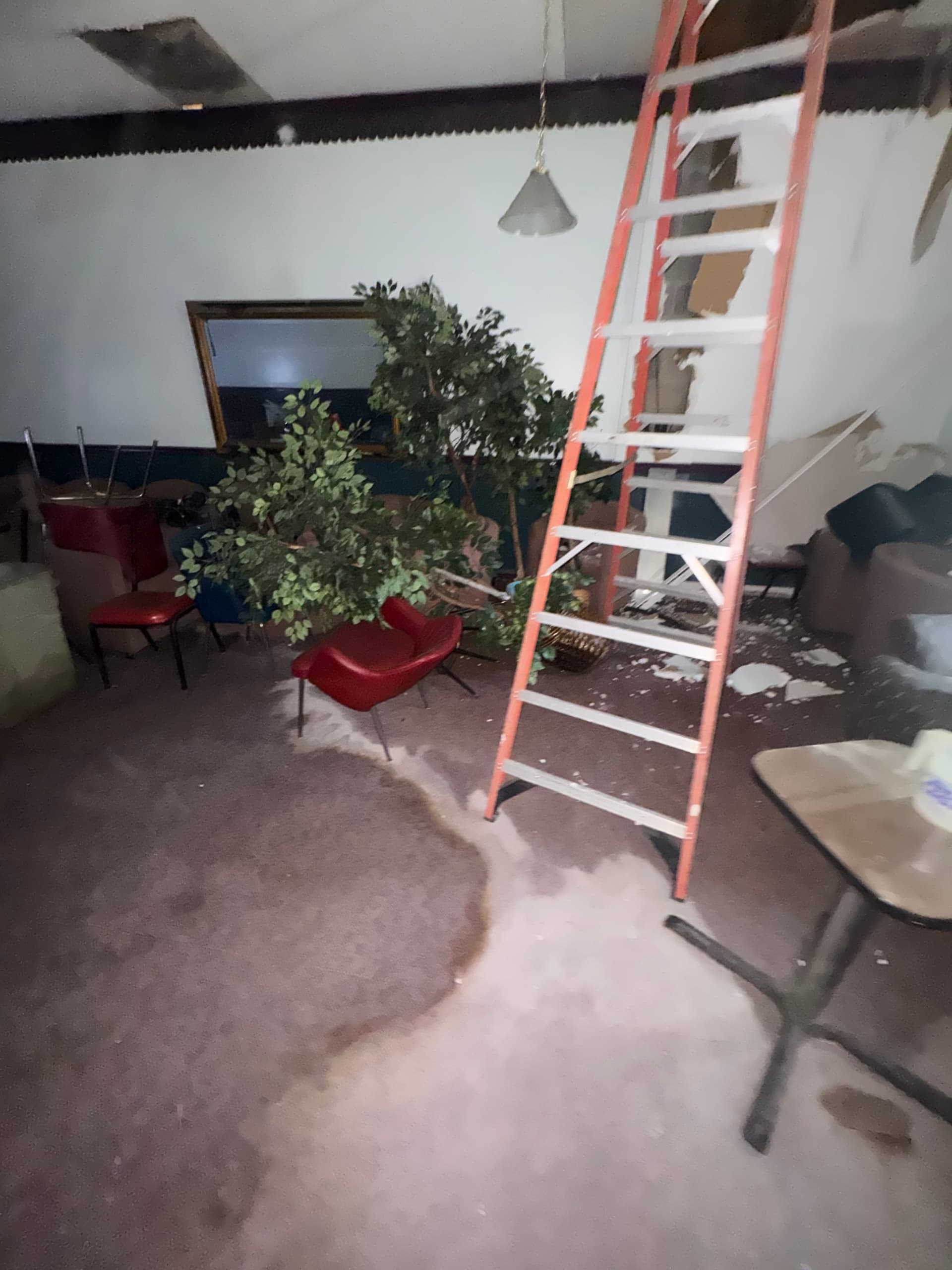 Gallery photos for Full Nightclub Cleanout Completed in Jackson: Image #1