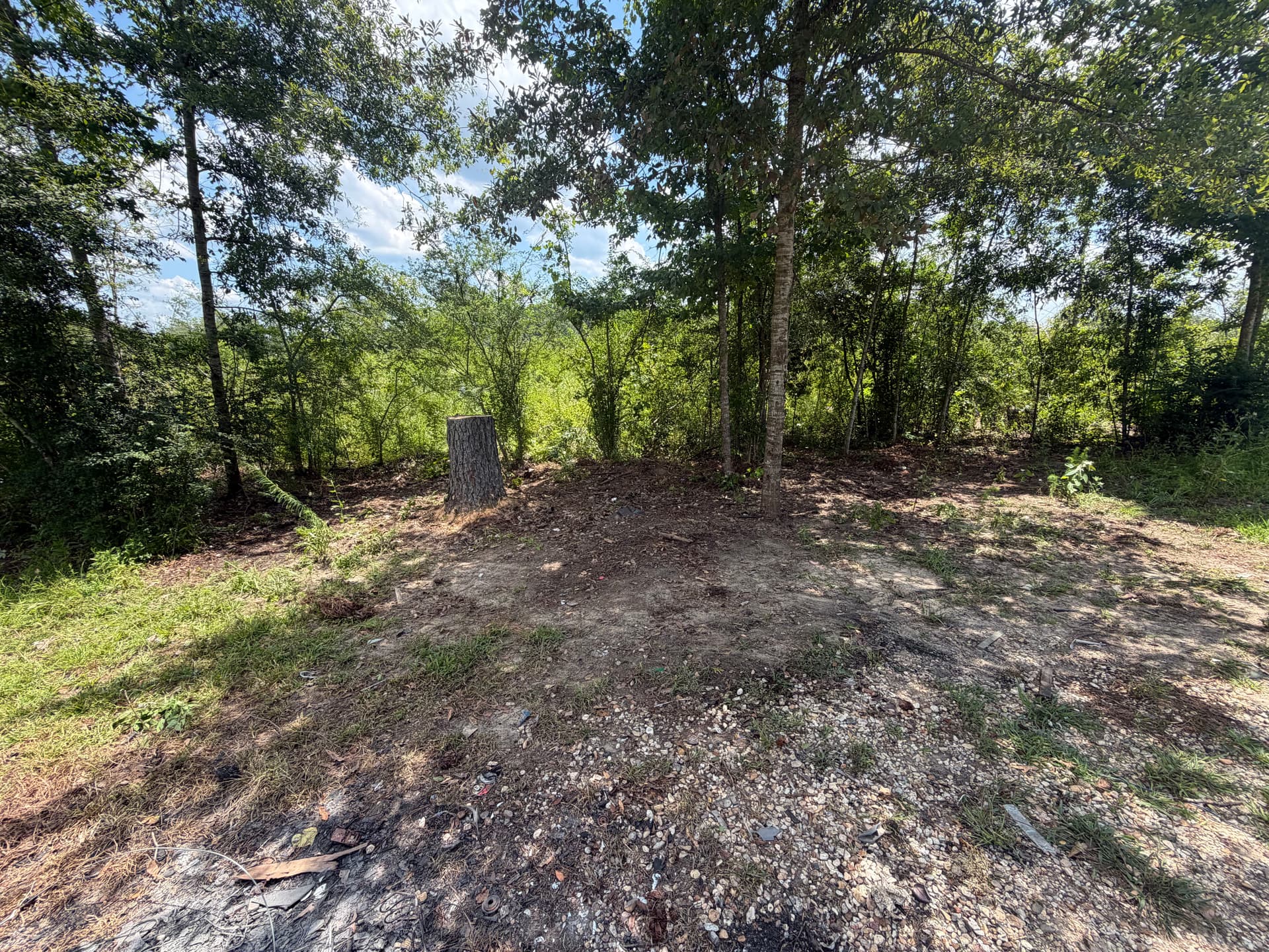 Gallery photos for Scattered Junk and Debris Gone - Bare Ground Reclaimed: Image #3