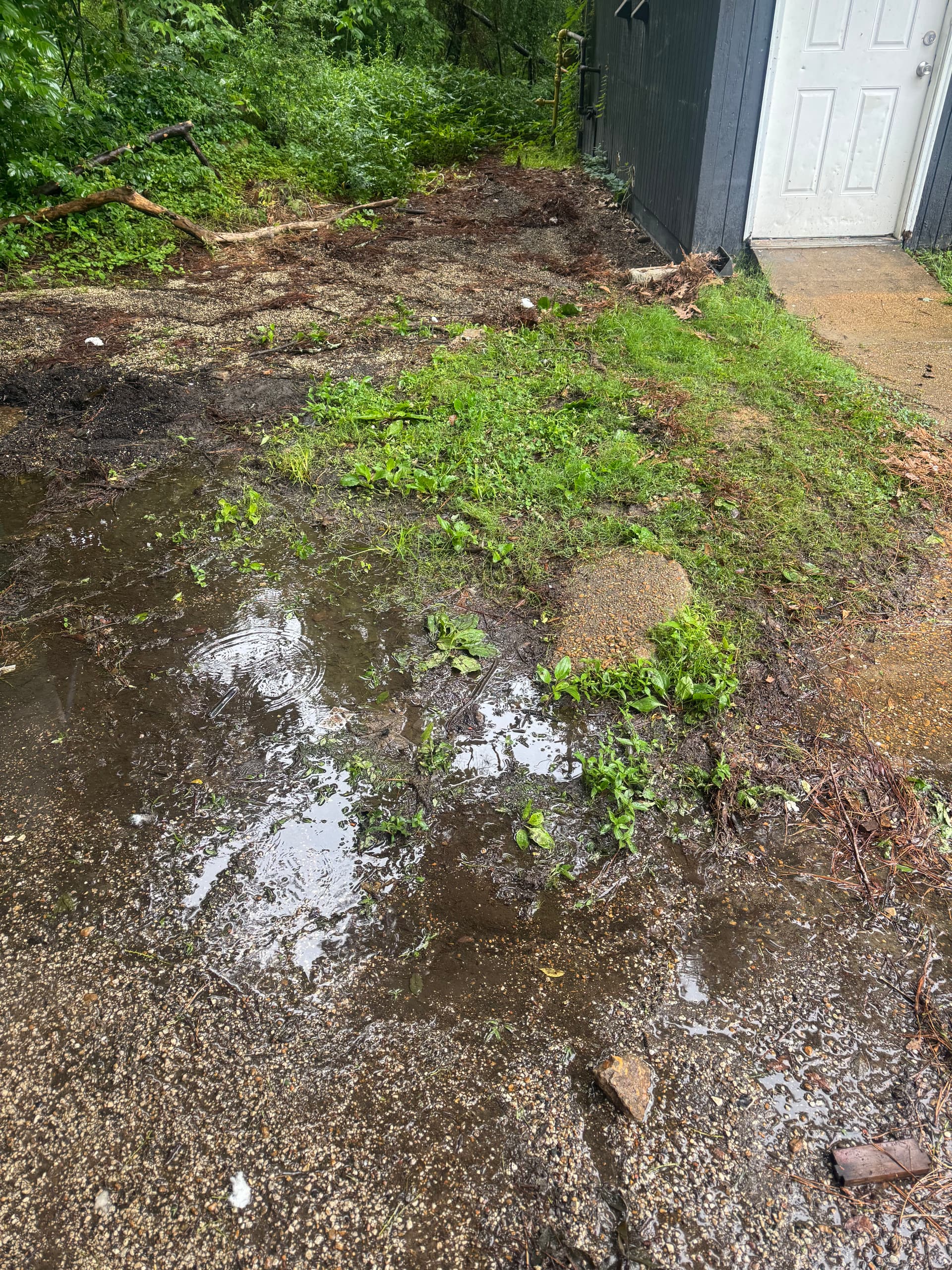 Gallery photos for Full Exterior Property Cleanout With Bulky Furniture and Debris Removal: Image #2