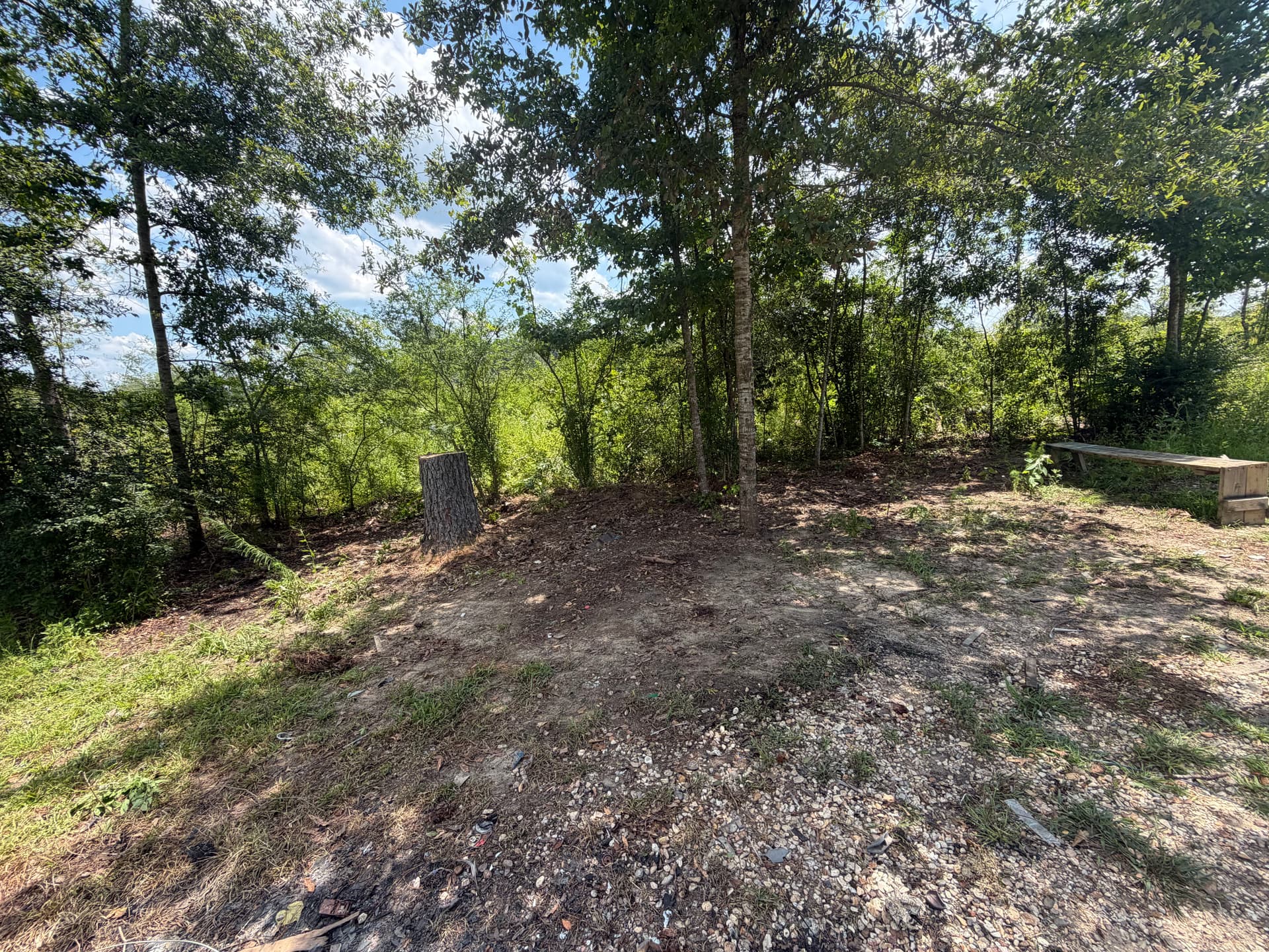 Gallery photos for Scattered Junk and Debris Gone - Bare Ground Reclaimed: Image #2