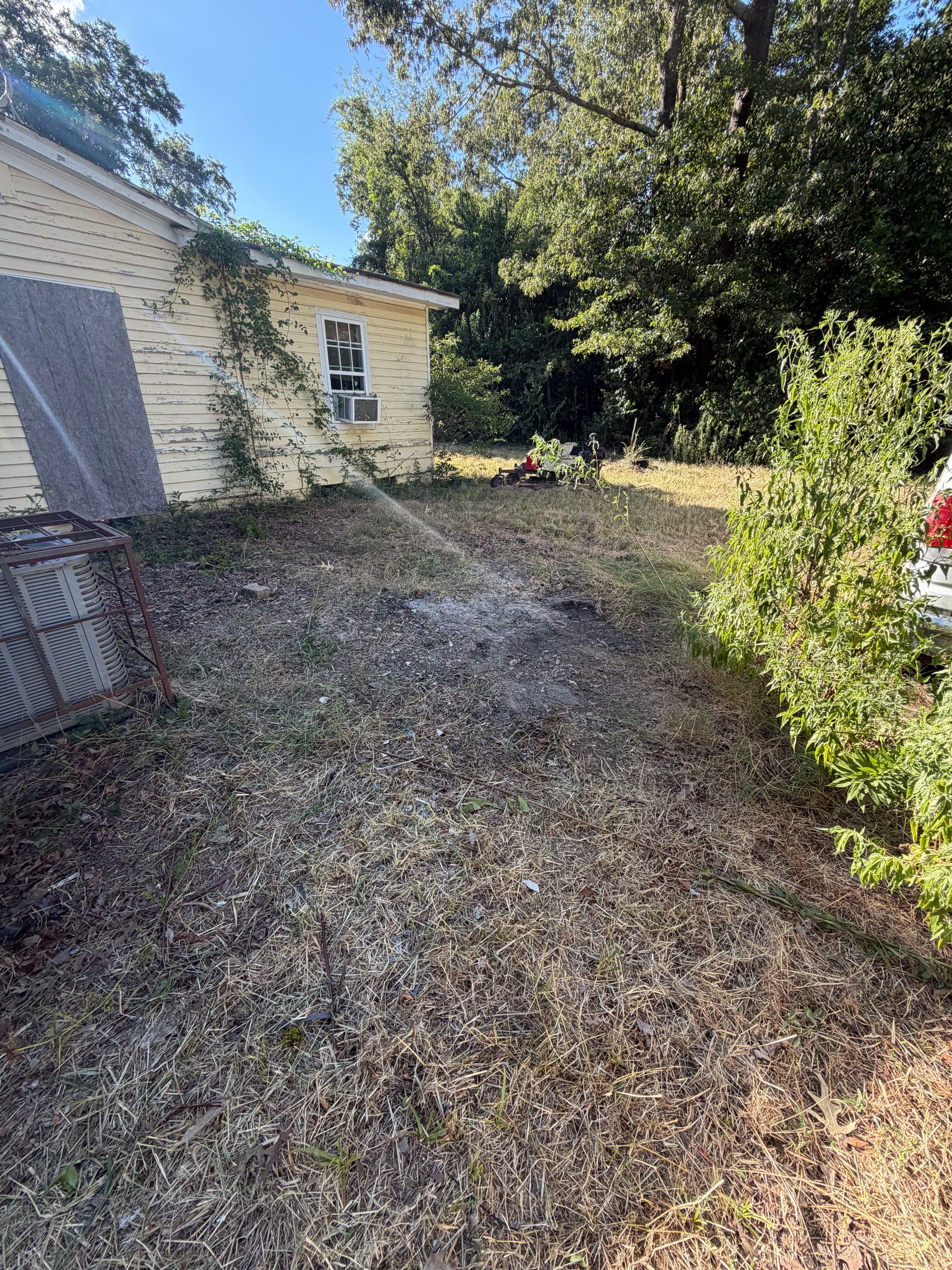 Gallery photos for Same-Day Yard Debris and Junk Removal in Jackson MS: Image #4