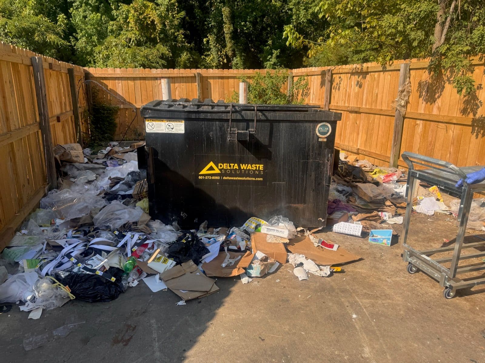 Project Dumpster Enclosure Clean Up Magic image