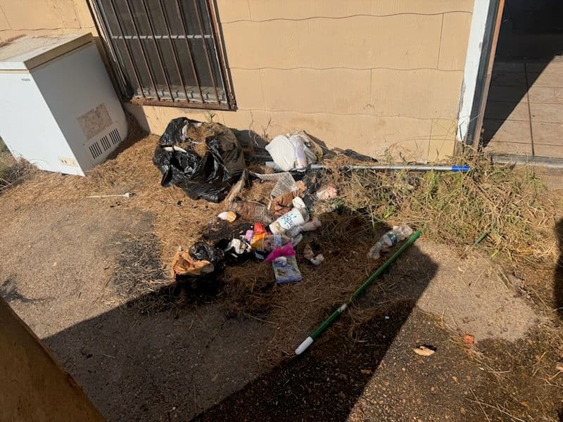 Yard Debris Clean Up in Jackson image