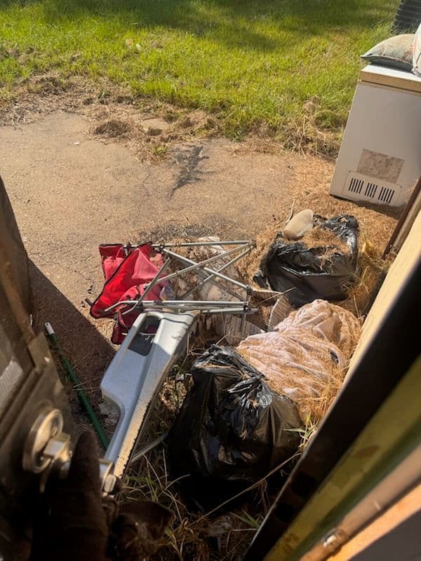 Gallery photos for Yard Debris Clean Up in Jackson: Image #1