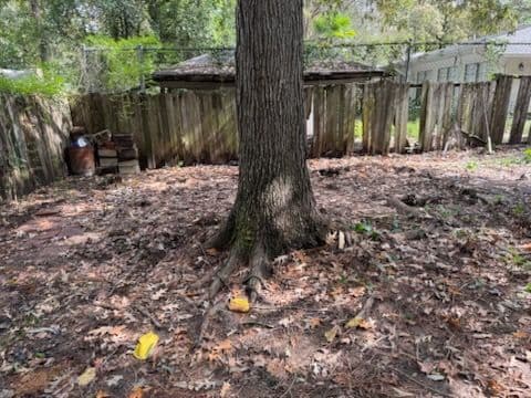 Efficient Shed Demolition in a Brandon Backyard