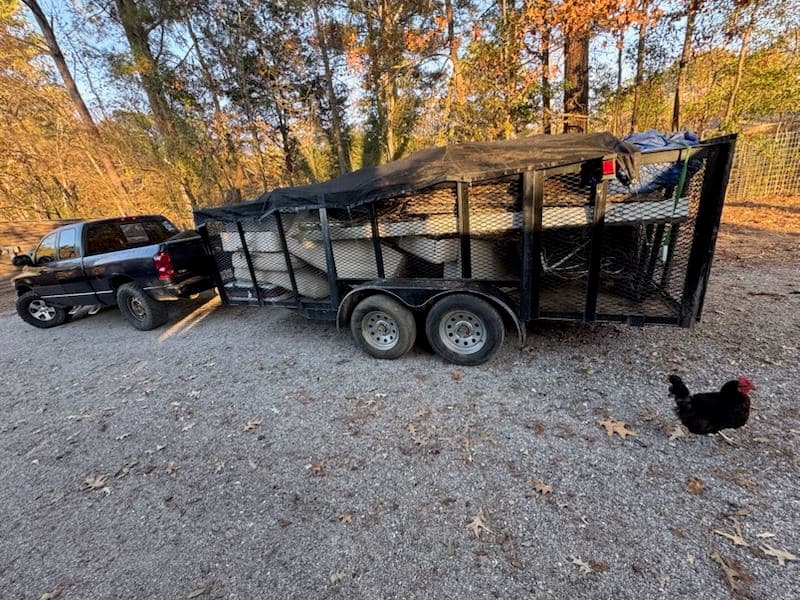 Efficient Yard and Debris Removal in Brandon MS image