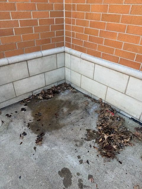 Project Efficient Debris Cleanup at Walgreens in Madison, MS image