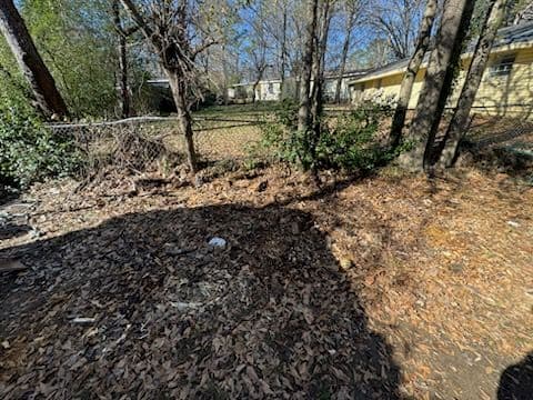 Project Swift Yard Debris Clean-Up for a Tidy Outdoor Space image