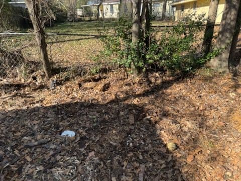 Gallery photos for Swift Yard Debris Clean-Up for a Tidy Outdoor Space: Image #1