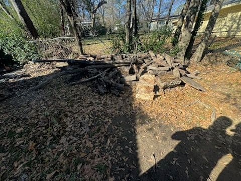 Gallery photos for Swift Yard Debris Clean-Up for a Tidy Outdoor Space: Image #3