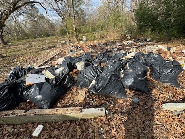 Gallery photos for Debris Clean-Up in South Jackson: Image #1