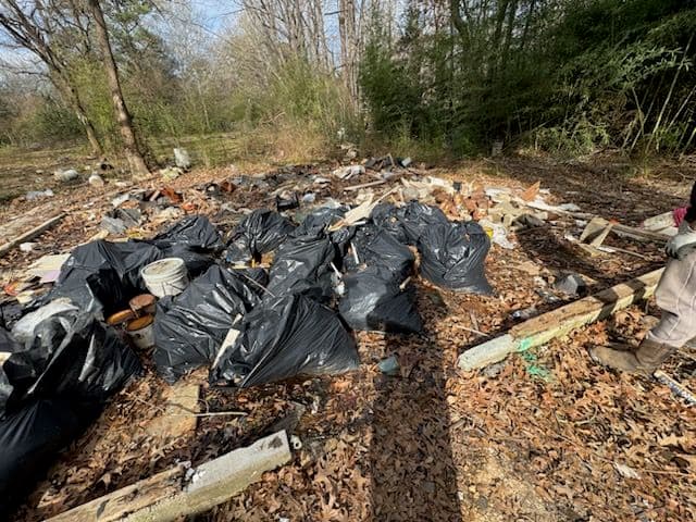 Gallery photos for Debris Clean-Up in South Jackson: Image #2