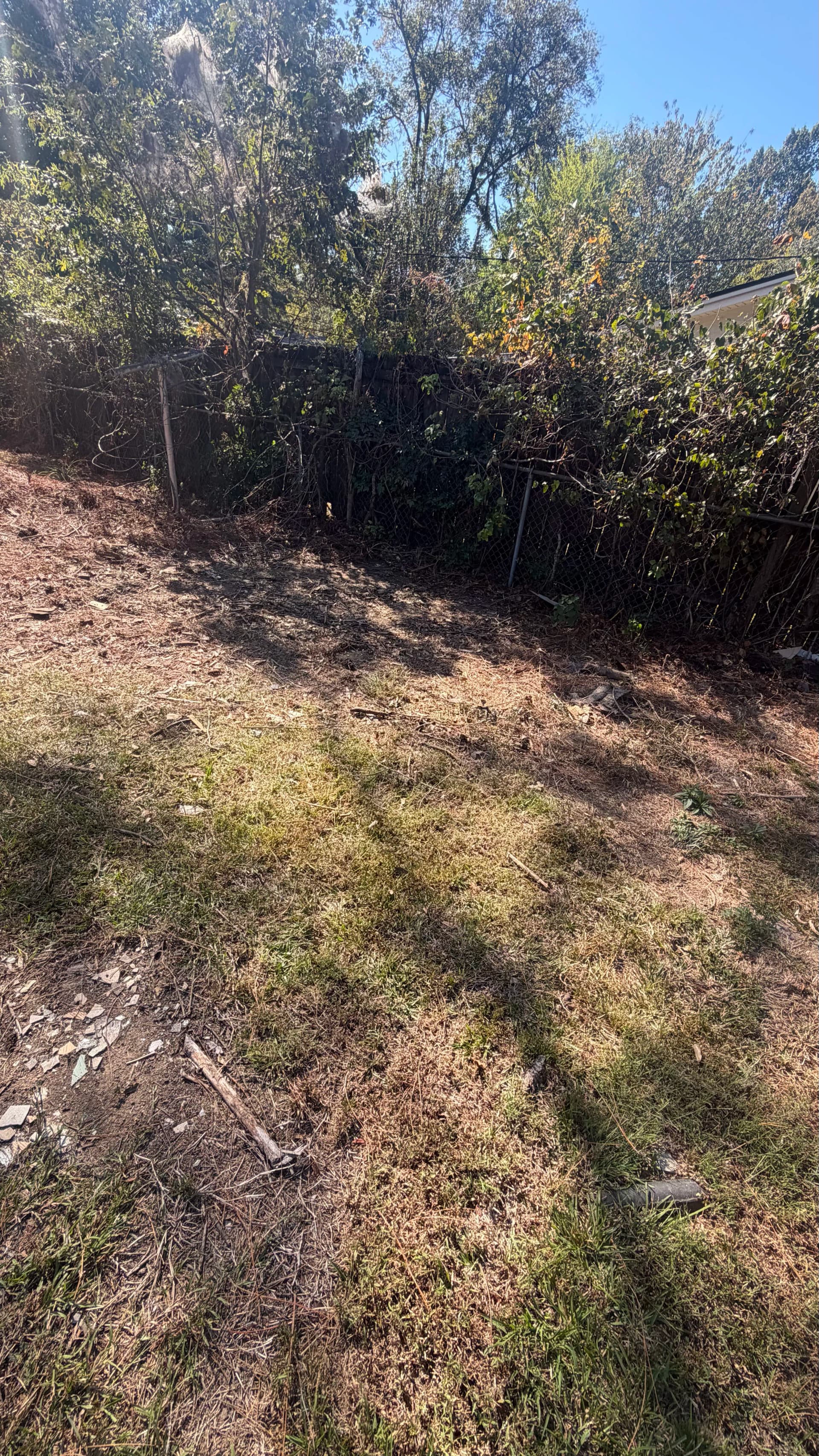 Gallery photos for Backyard Wood Debris Hauled Away in Jackson MS: Image #3