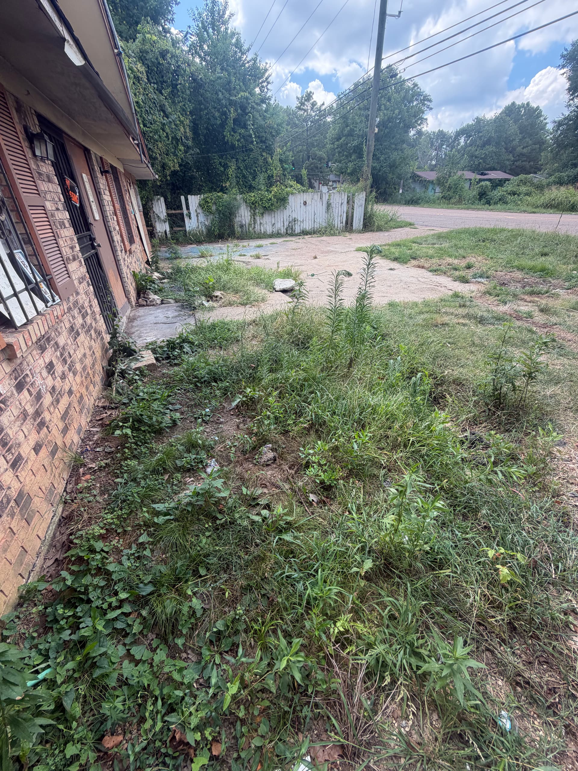 Gallery photos for Bulk Junk Removal Job Completed in South Jackson: Image #3