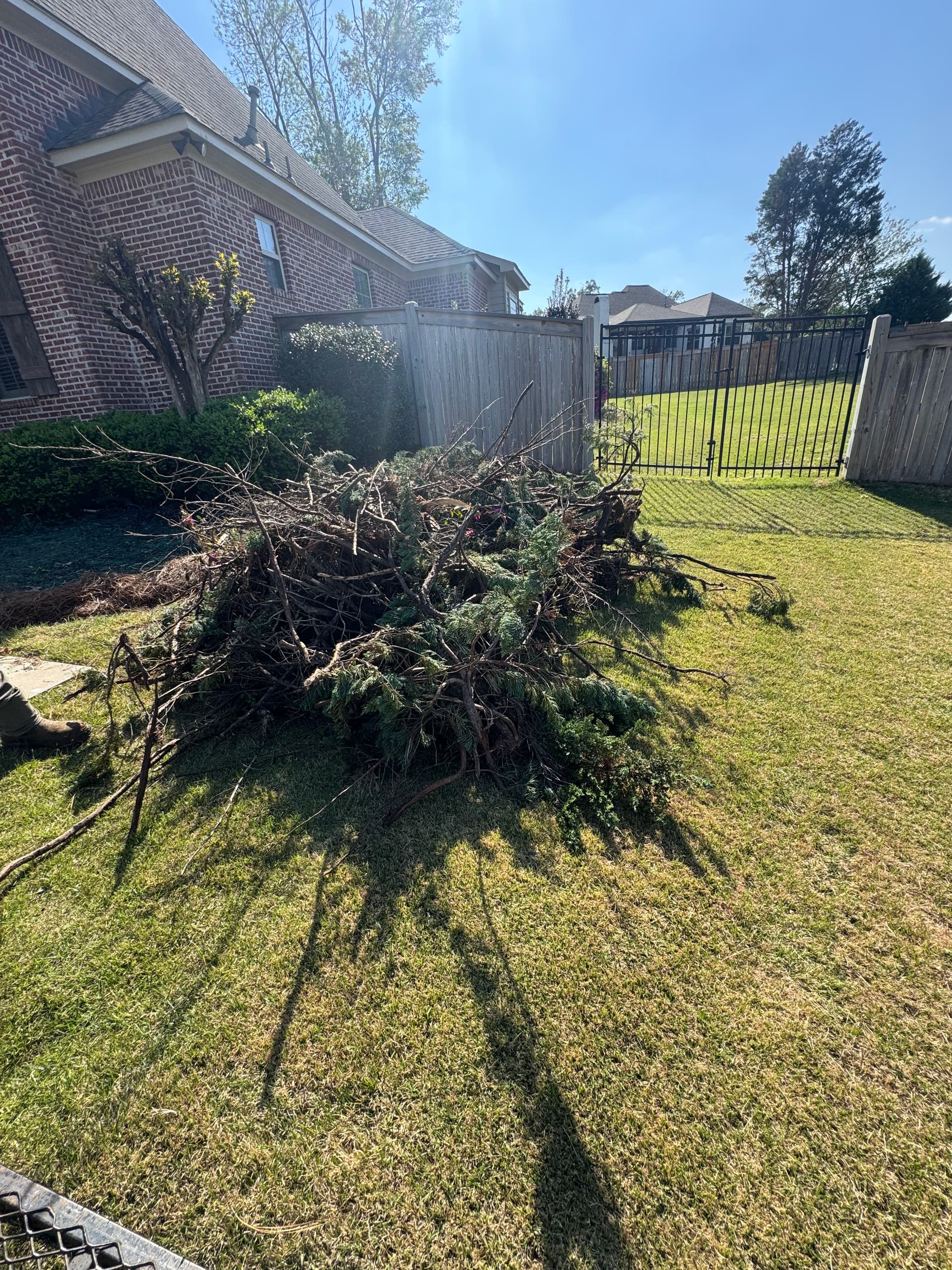 Efficient Yard Debris Clean Up image