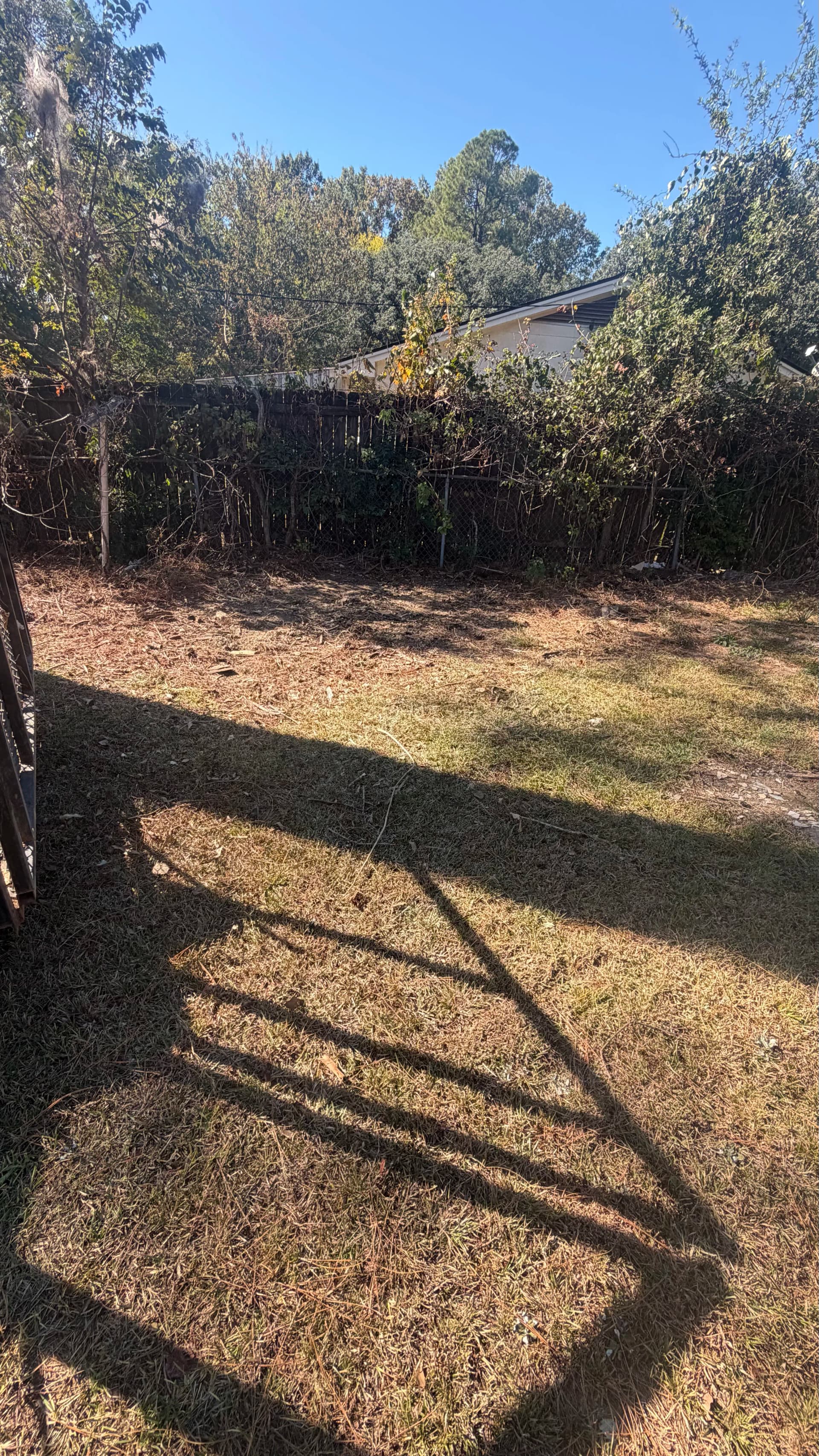 Gallery photos for Backyard Wood Debris Hauled Away in Jackson MS: Image #2