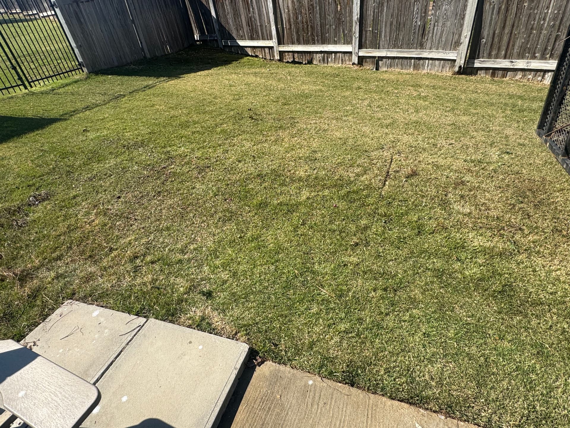 Gallery photos for Efficient Yard Debris Clean Up: Image #3