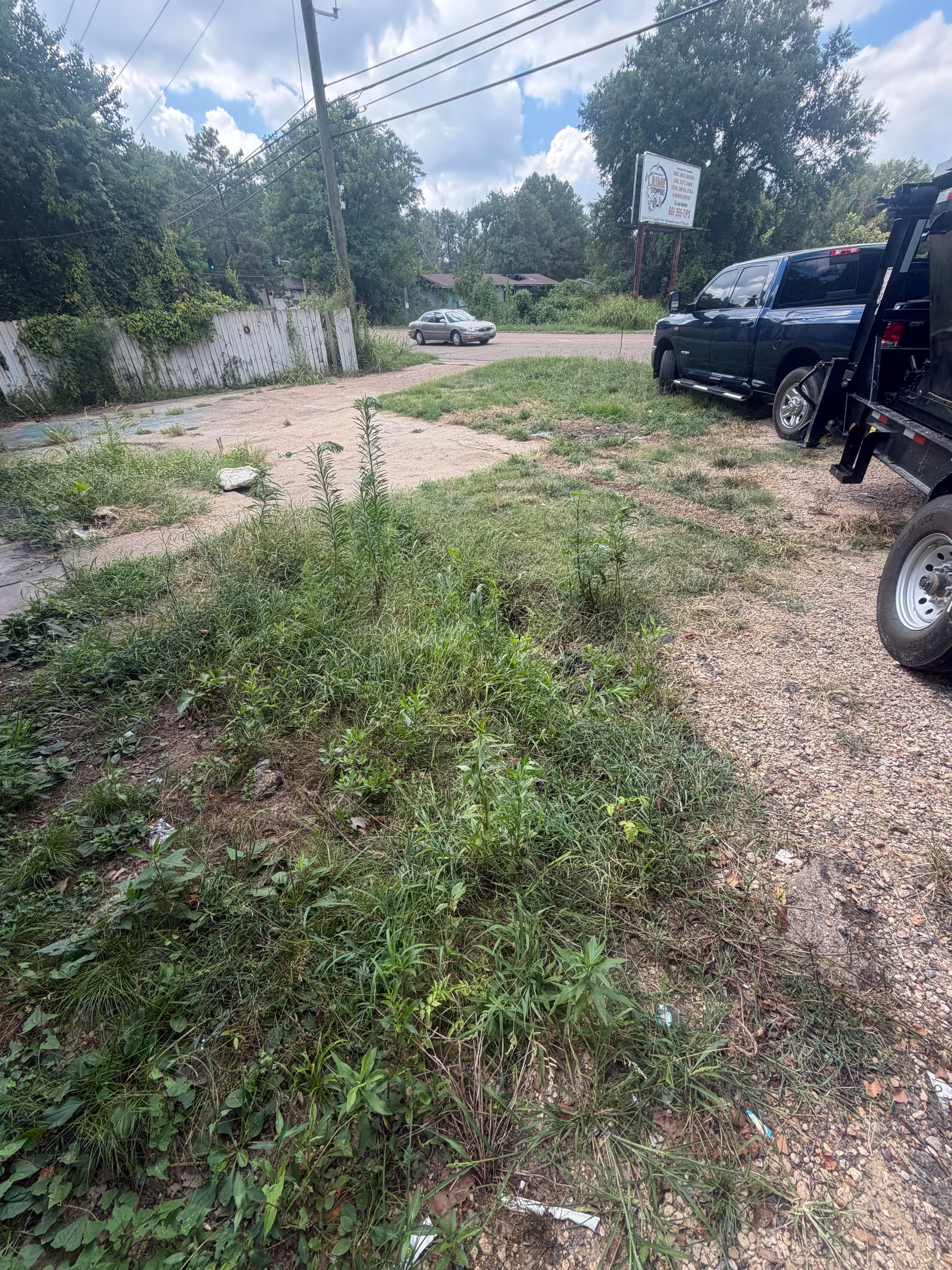 Gallery photos for Bulk Junk Removal Job Completed in South Jackson: Image #2