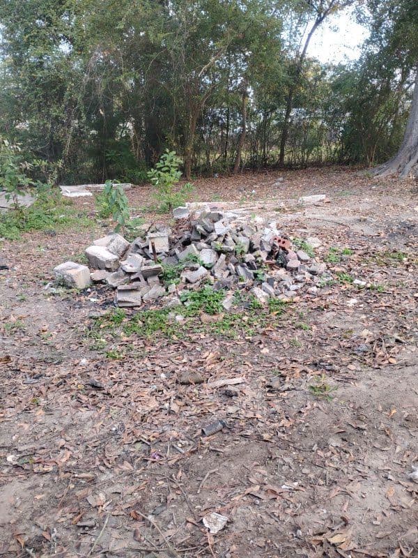 Comprehensive Debris Removal and Yard Cleanup image
